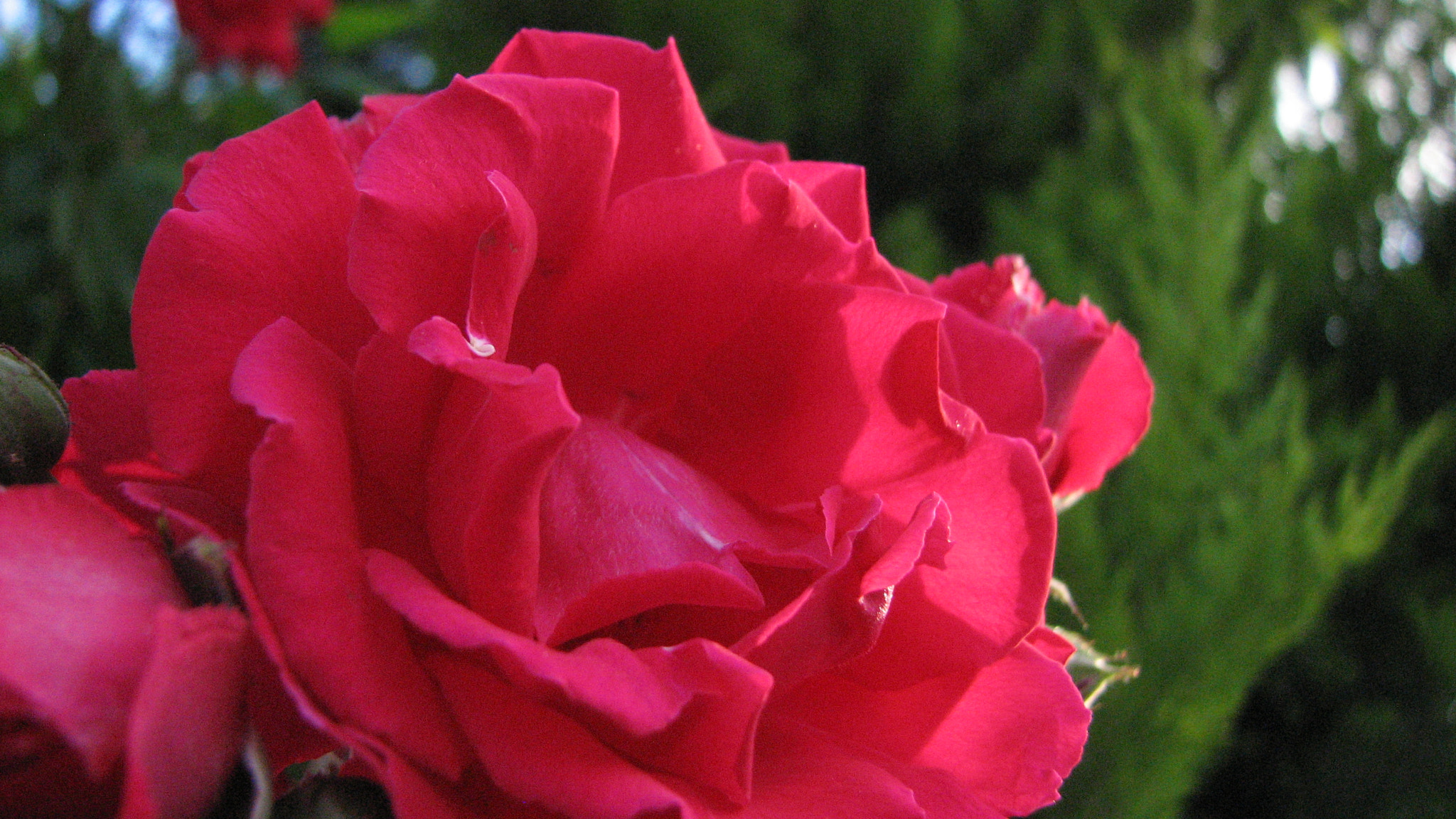 Canon POWERSHOT S3 IS sample photo. Img photography