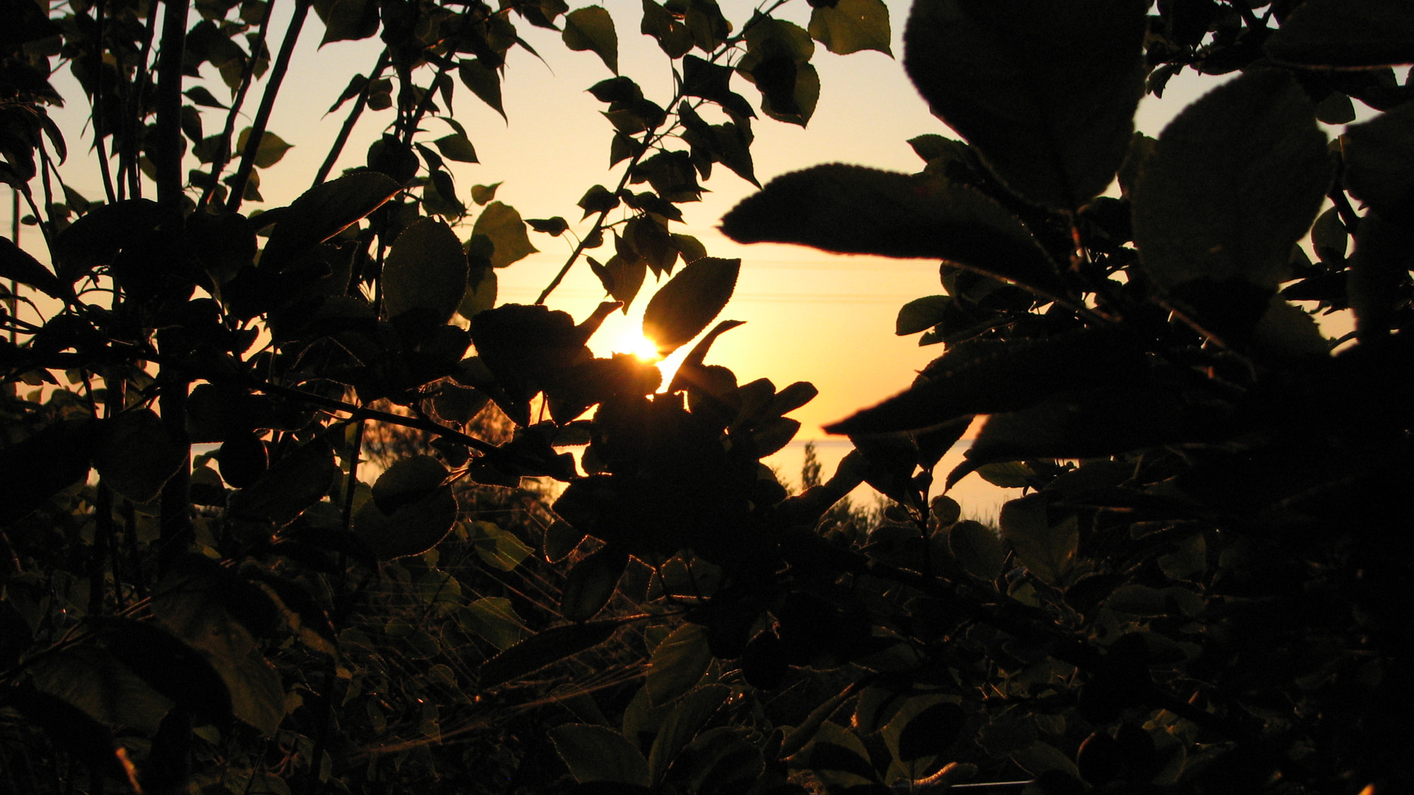 Canon POWERSHOT S3 IS sample photo. Img photography