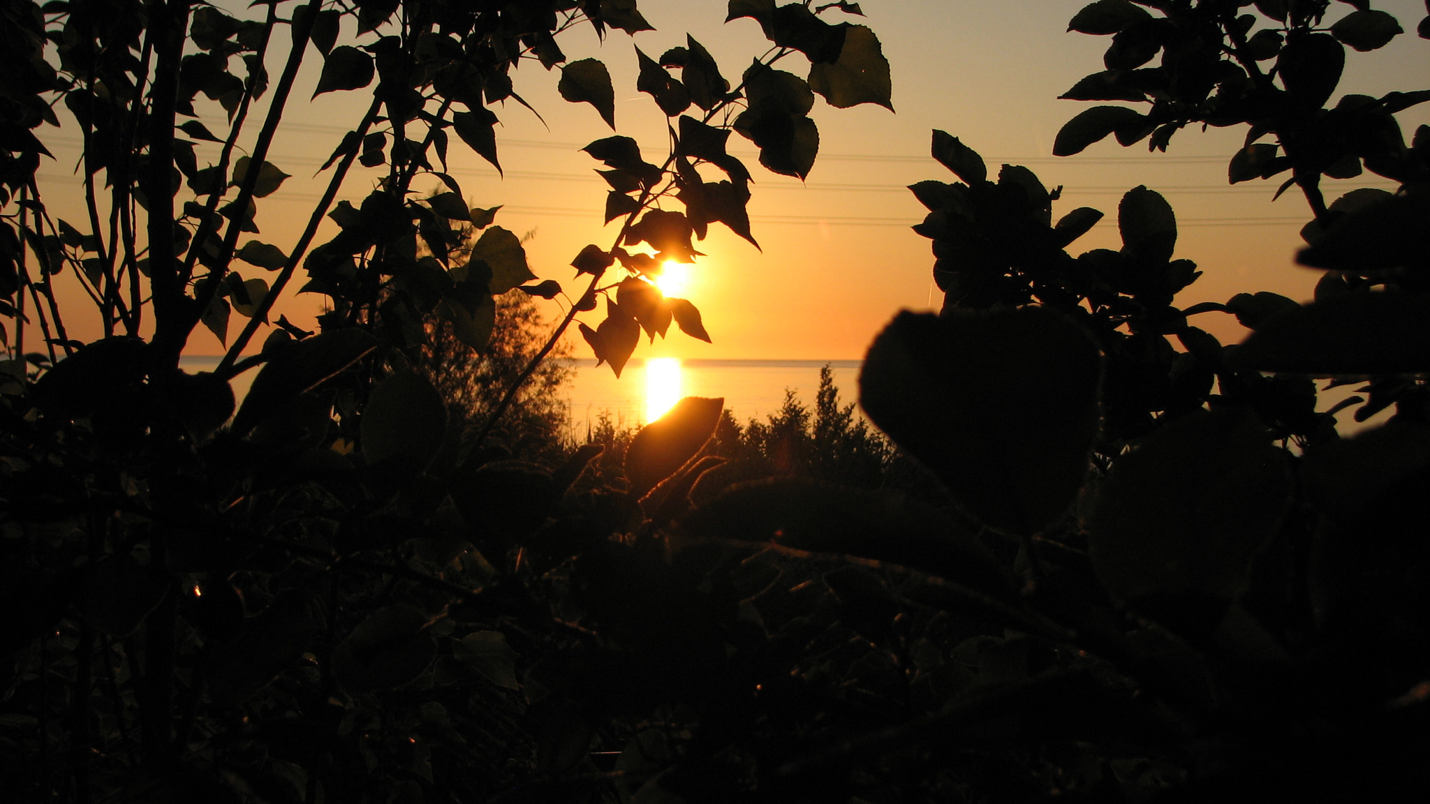 Canon POWERSHOT S3 IS sample photo. Img photography