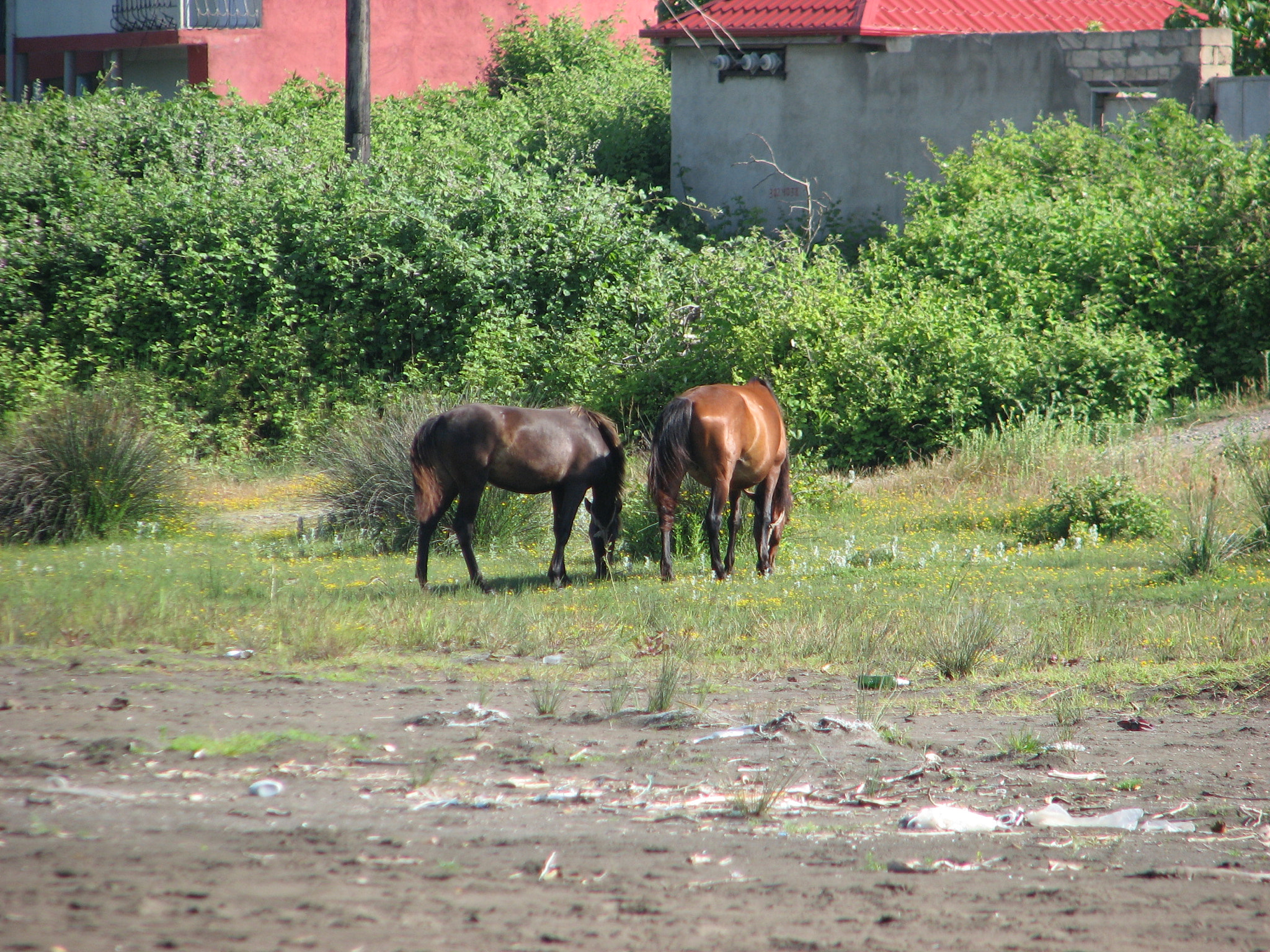 Canon POWERSHOT S3 IS sample photo. Img photography