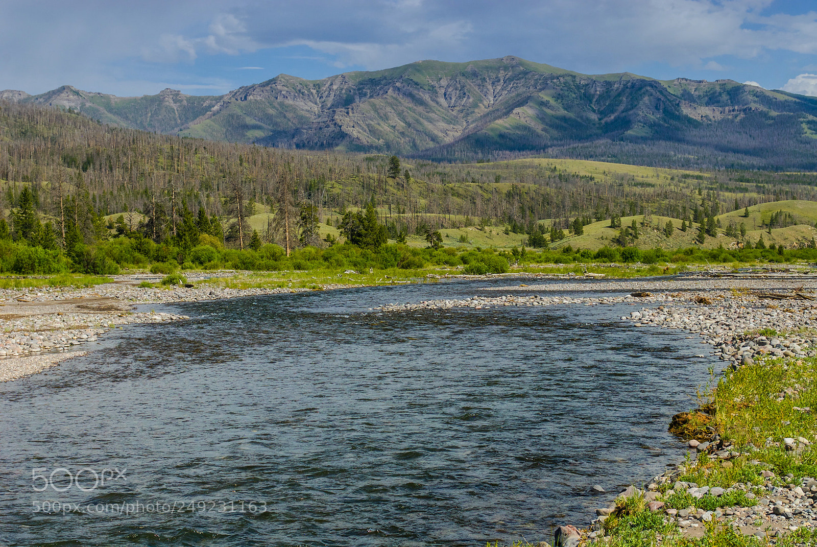 Nikon D200 sample photo. The river flows photography