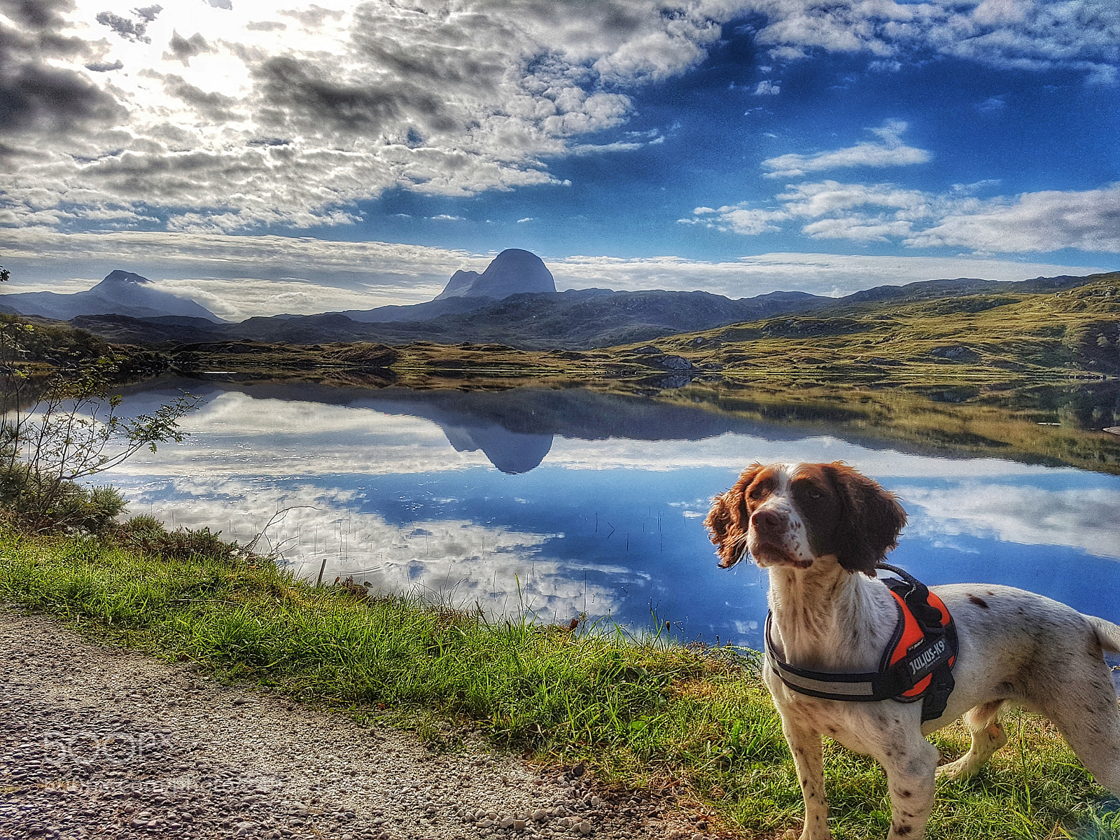 Samsung Galaxy S7 Edge sample photo. Scottish reflection photography