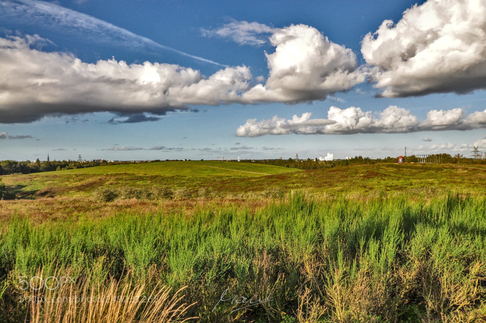 Nikon D90 sample photo. Like a summer day photography