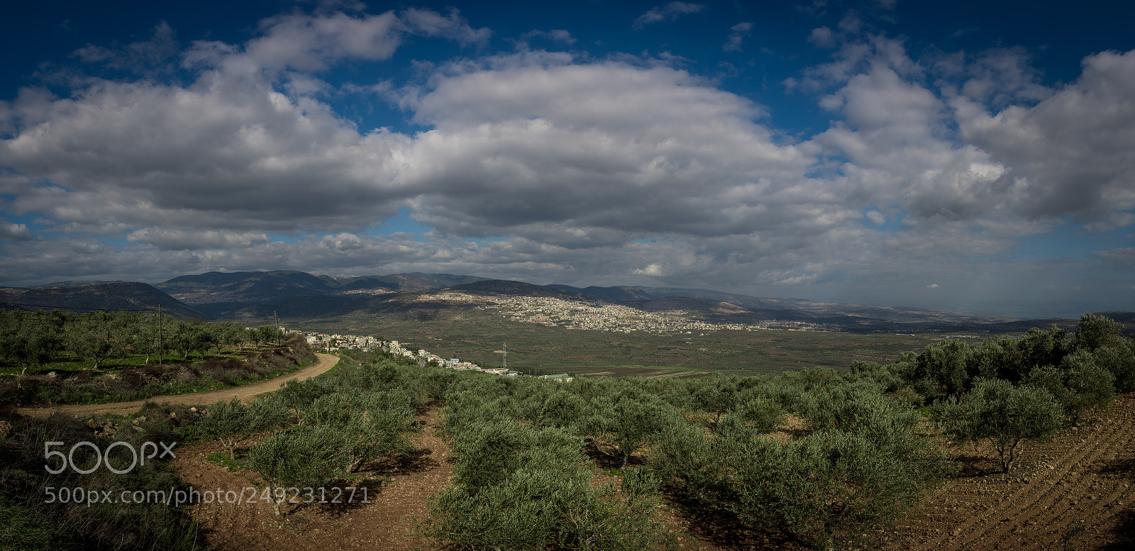 Nikon D7100 sample photo. Olives valley - dir photography