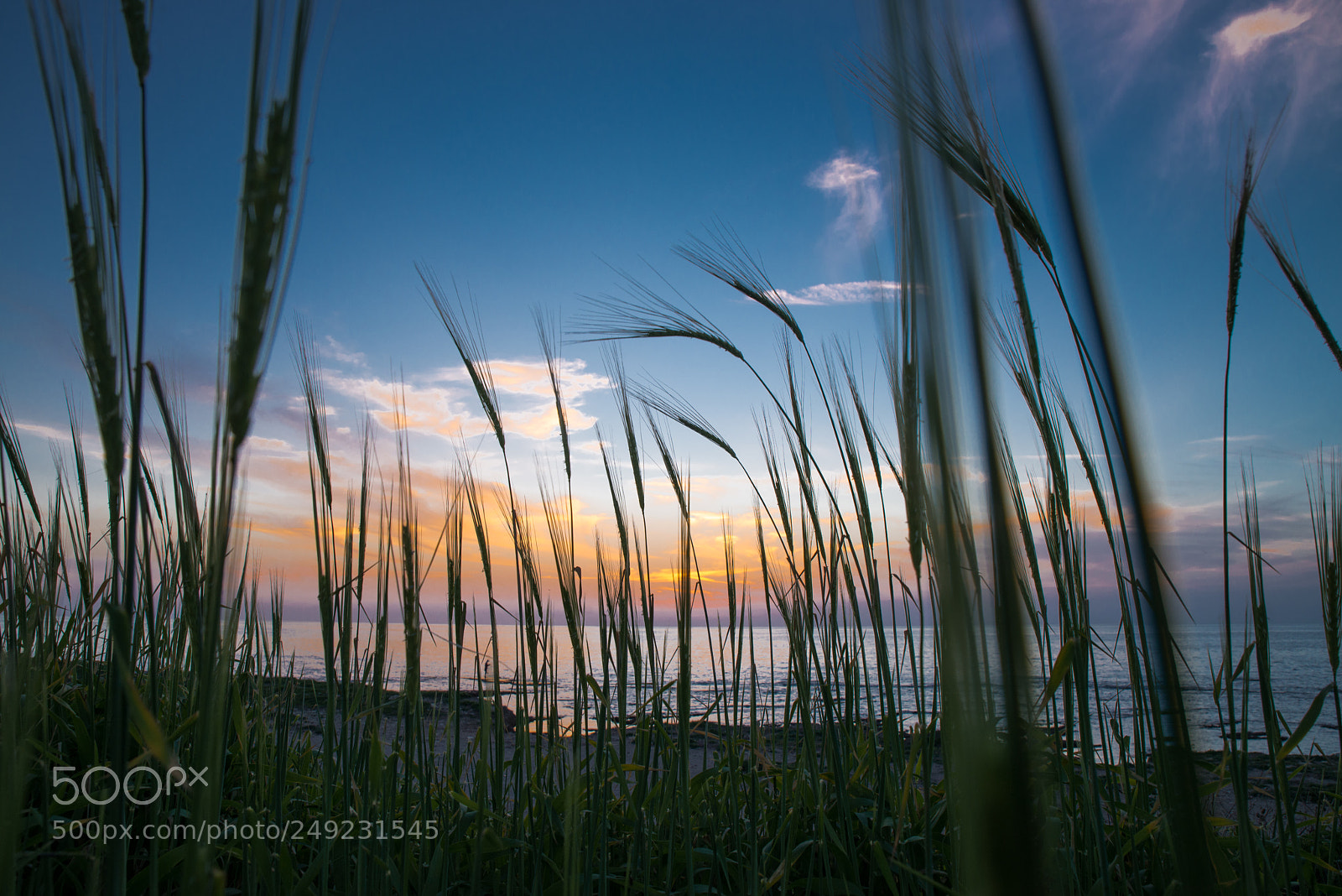 Nikon D800E sample photo. Mediterranean sunset photography