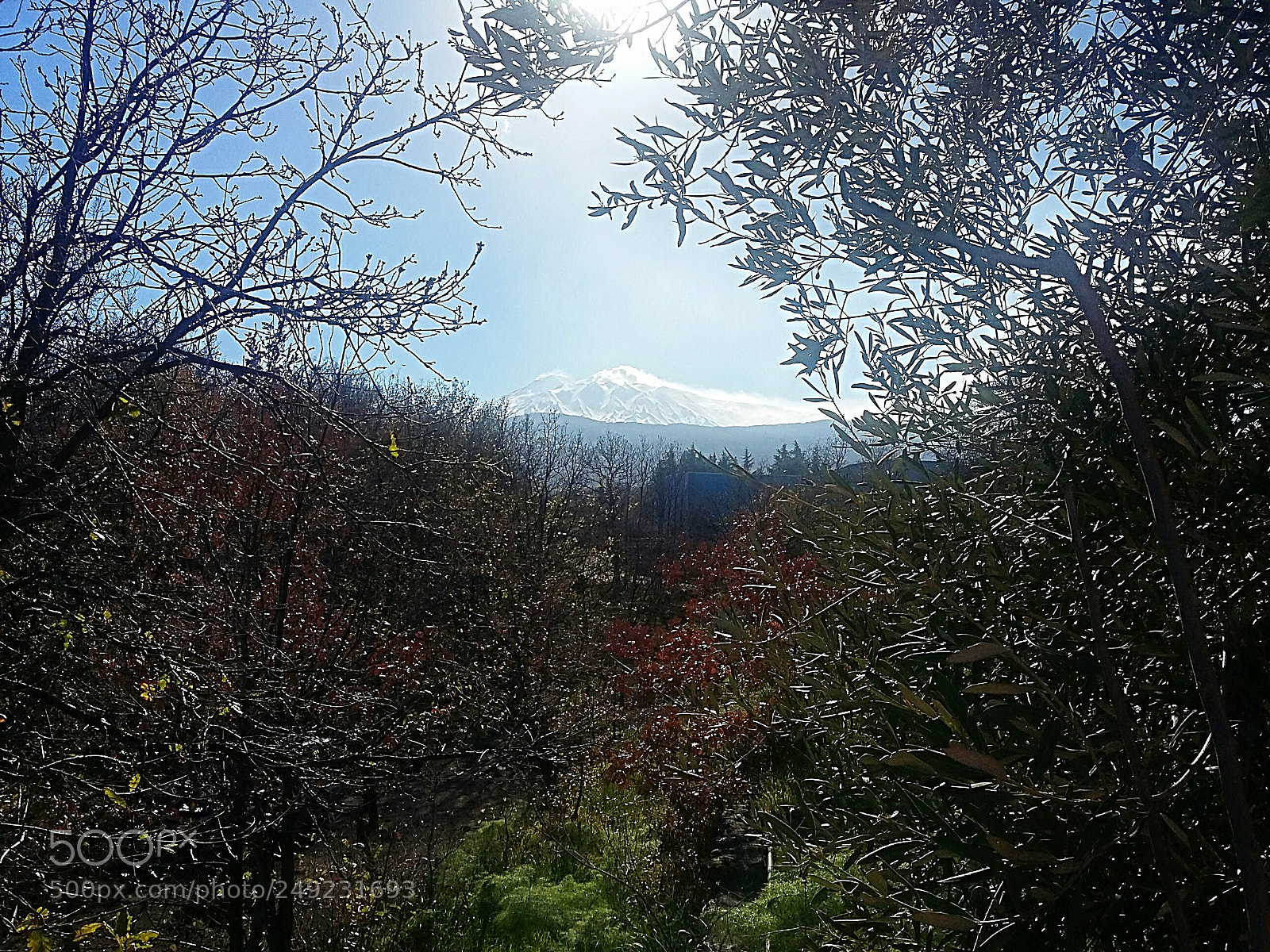 Samsung Galaxy Grand Prime sample photo. Admiring the etna from photography