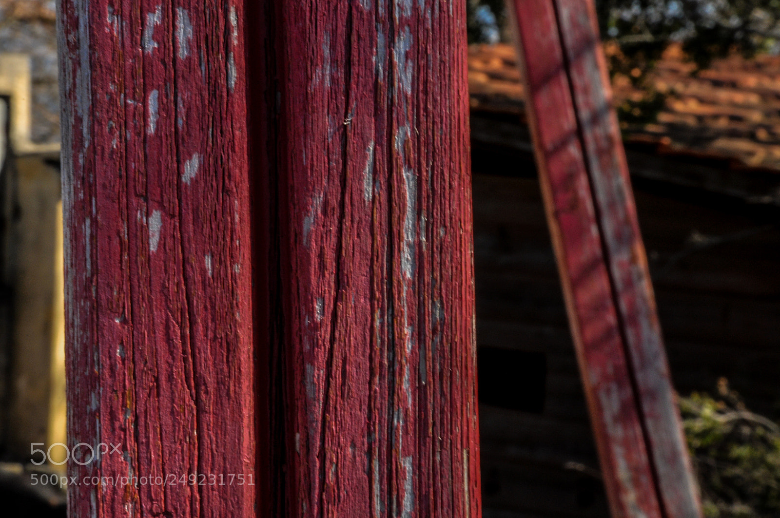 Nikon D90 sample photo. Wood texture photography