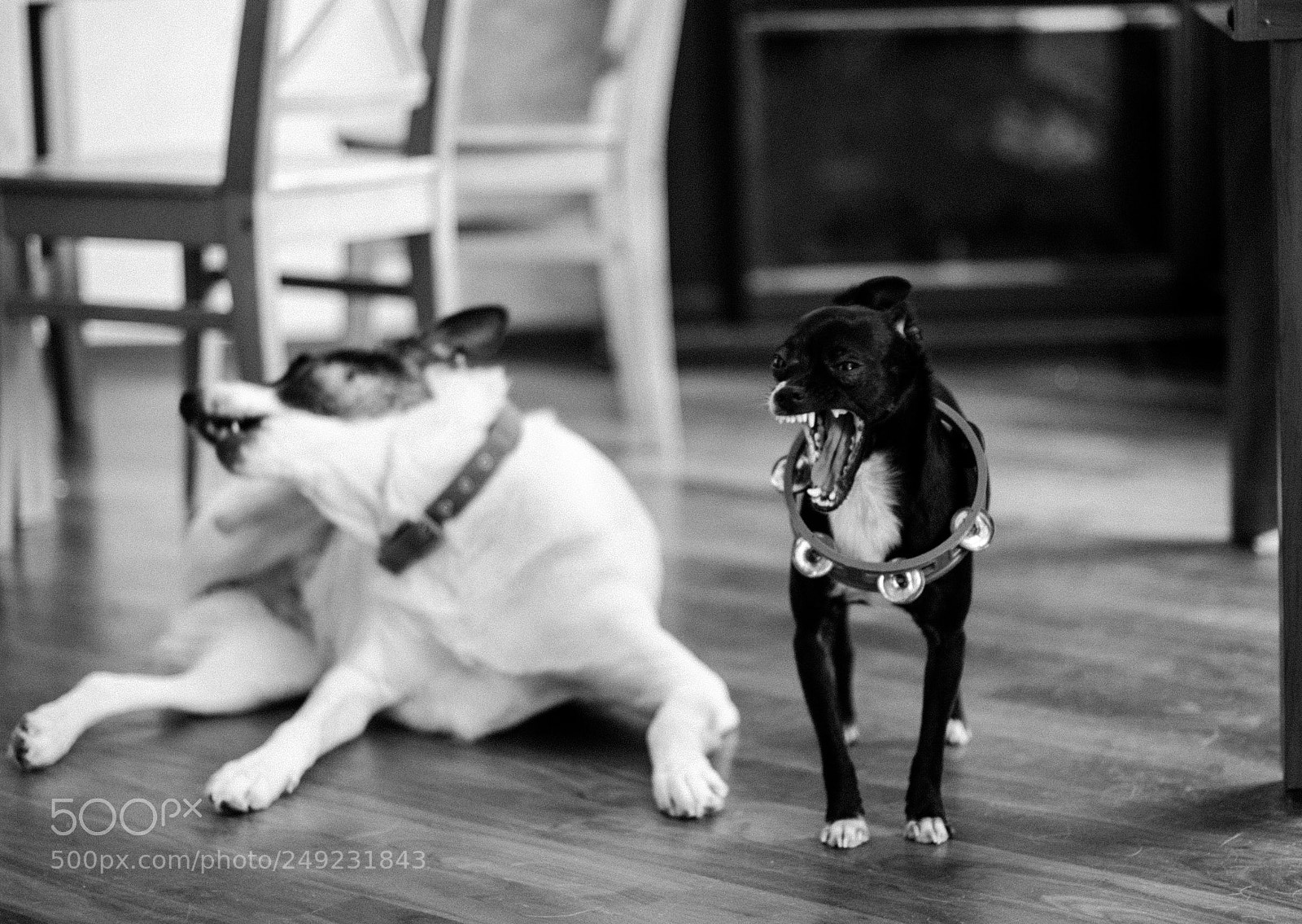 Nikon D7000 sample photo. Da braaa photography
