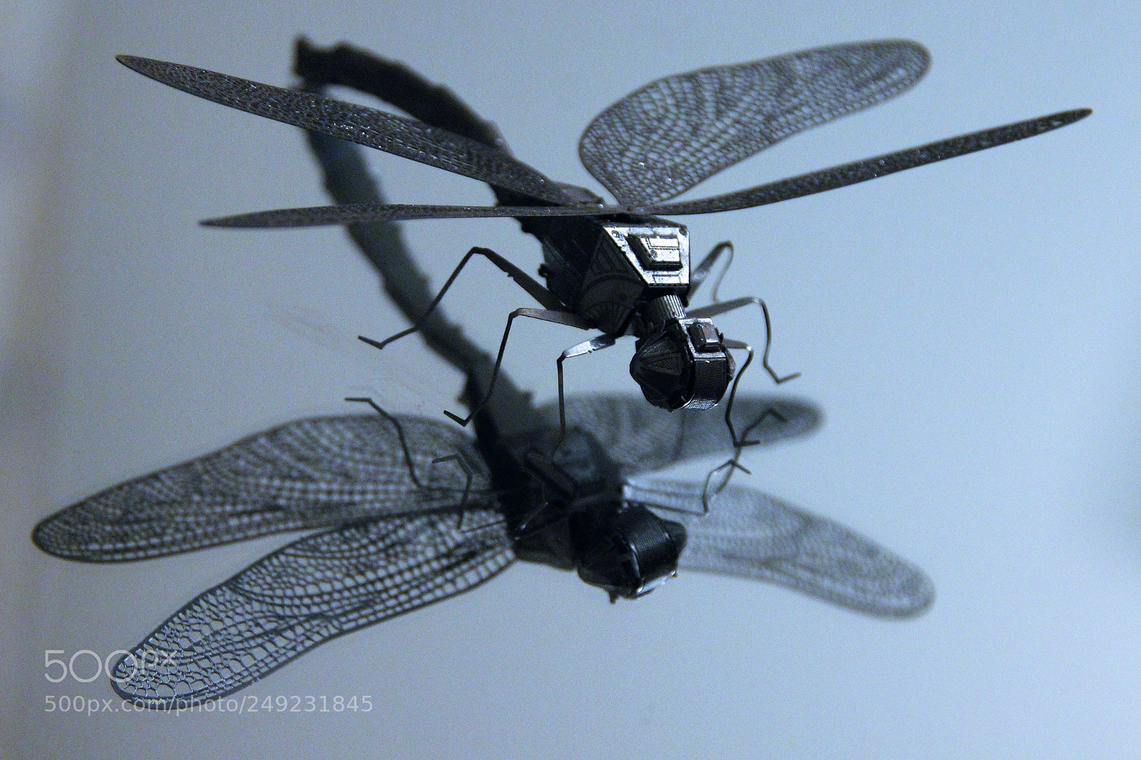 Canon EOS 600D (Rebel EOS T3i / EOS Kiss X5) sample photo. Dragonfly photography