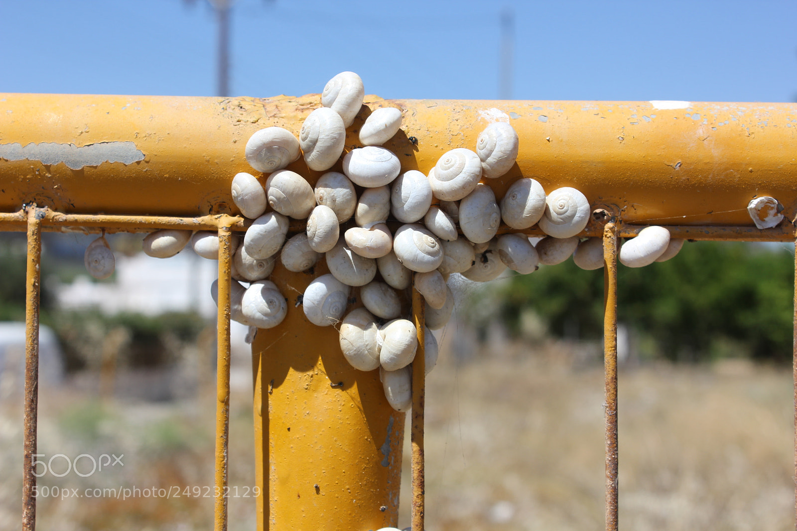 Canon EF-S 18-55mm F3.5-5.6 IS sample photo. Untitled photography