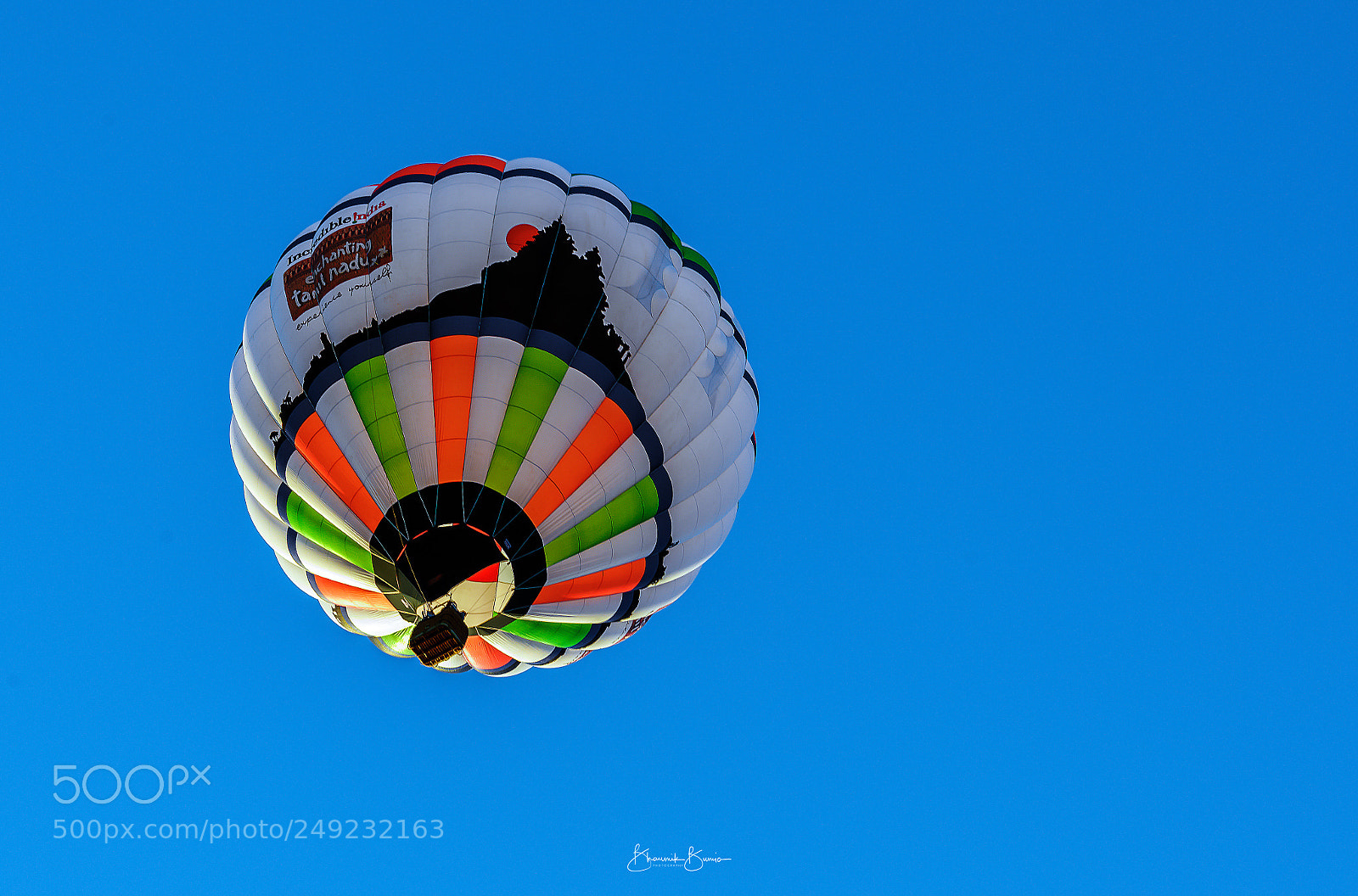 Nikon D810 sample photo. Flying high photography