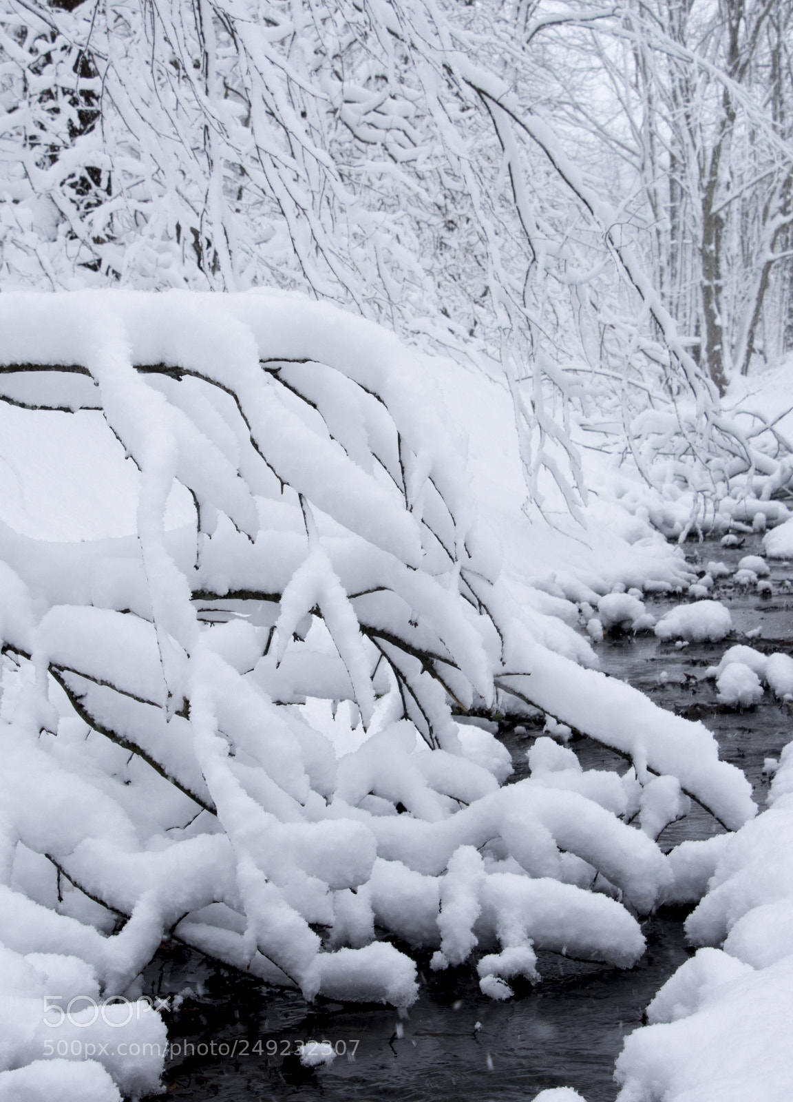 Nikon D7200 sample photo. Winter waters photography