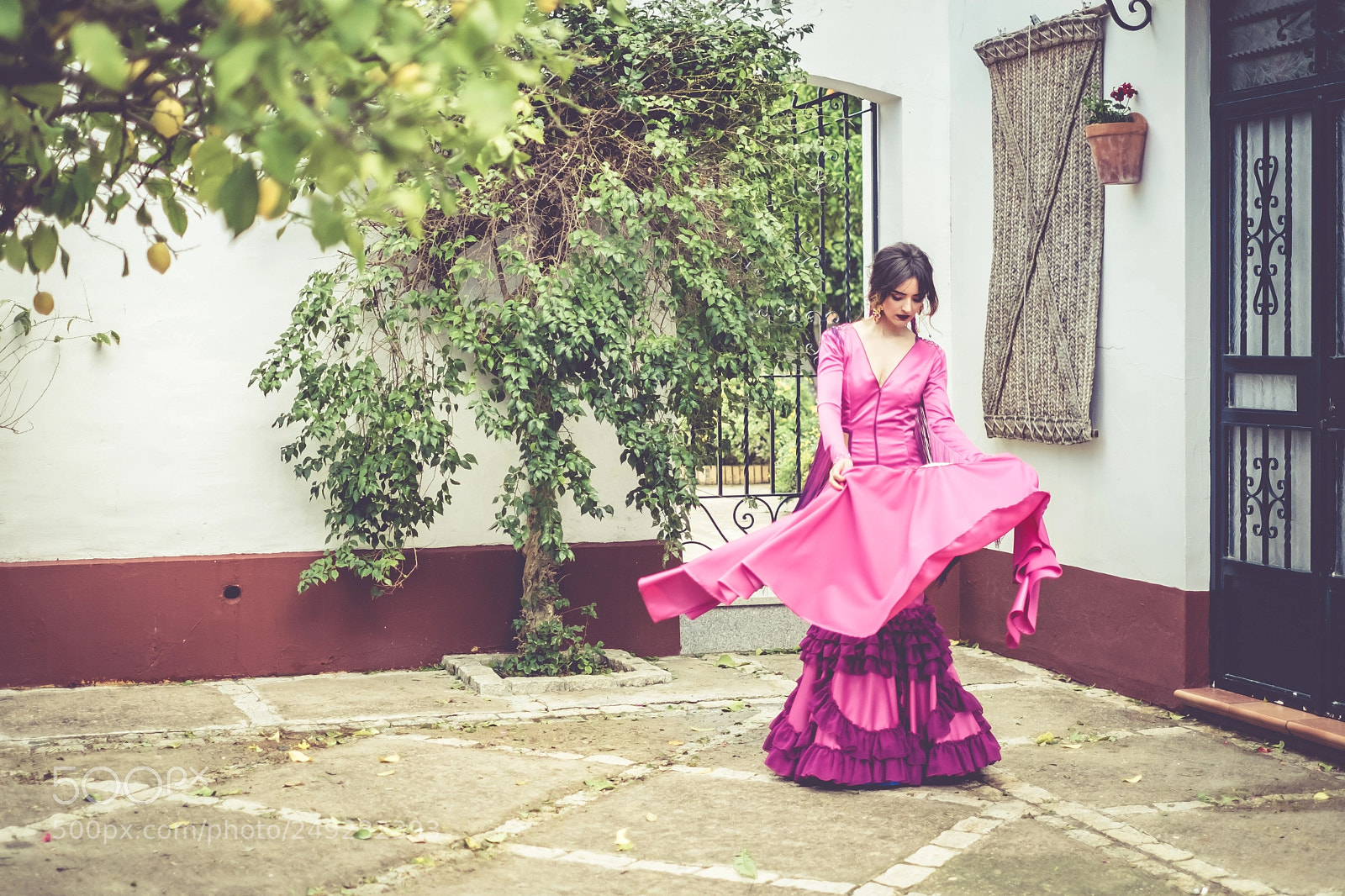 Fujifilm X-T1 sample photo. Flamenca. photography