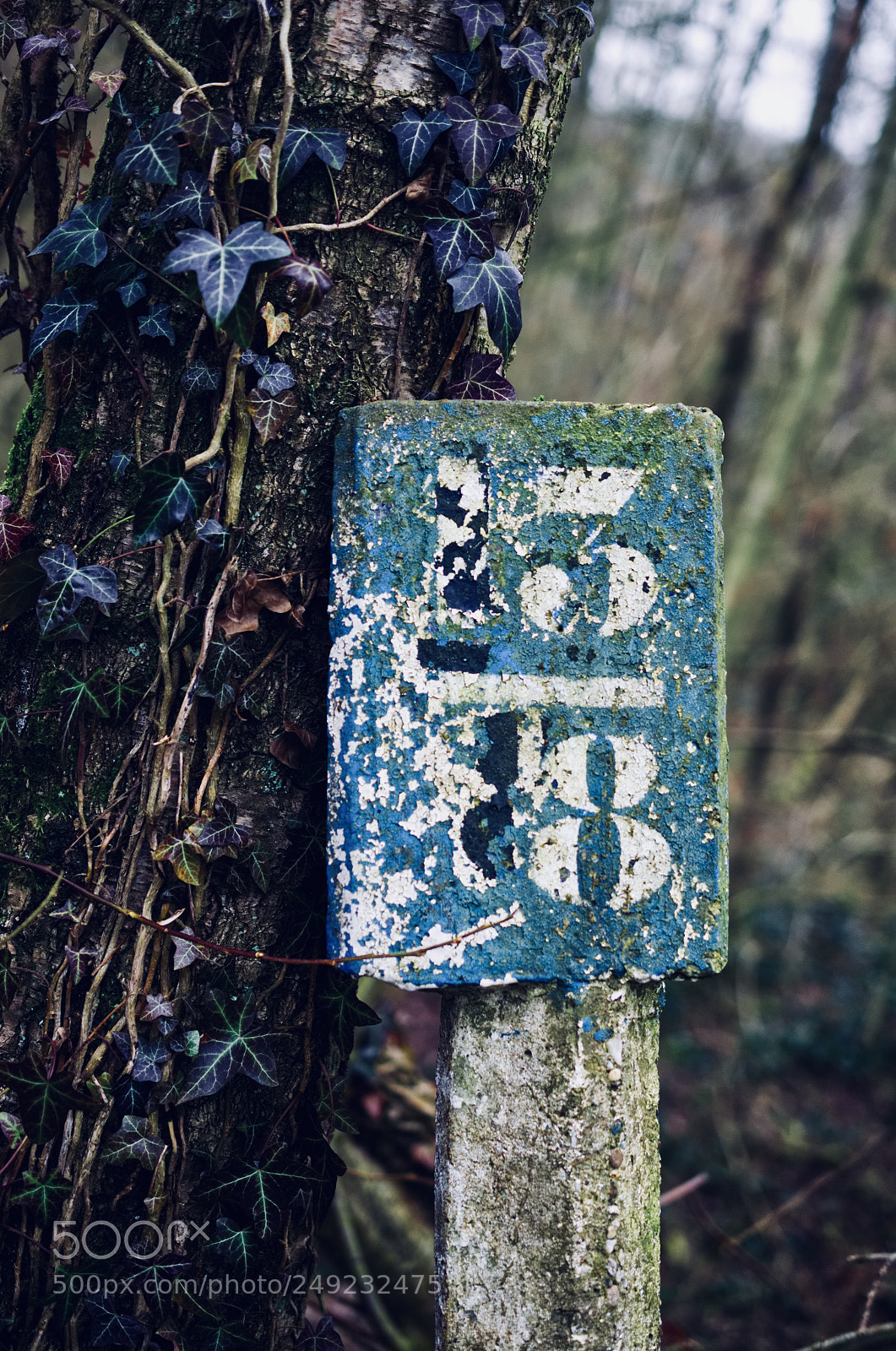 Nikon D7000 sample photo. Fullsizeoutput bc photography