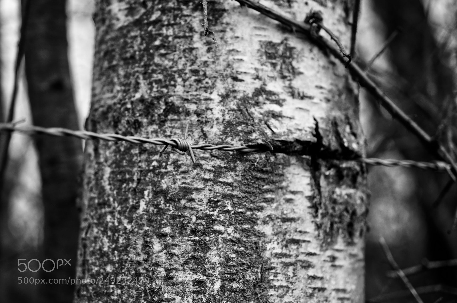 Nikon D7000 sample photo. Fullsizeoutput bc photography
