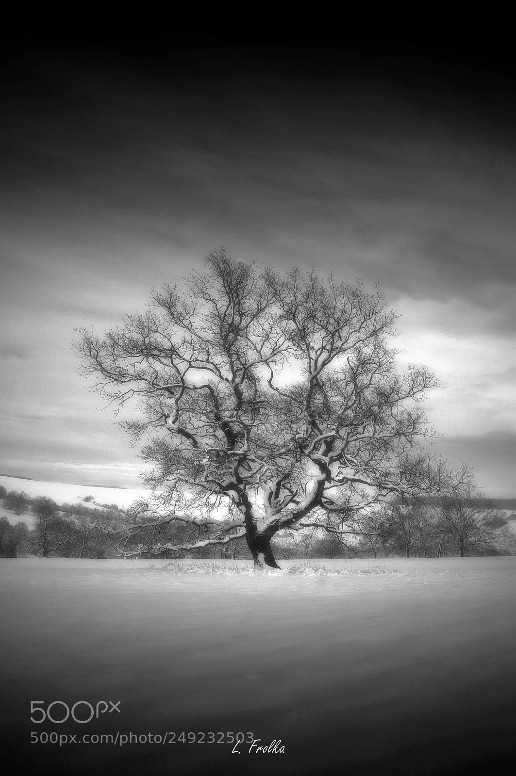 Pentax K20D sample photo. Guardian of the carpathians photography