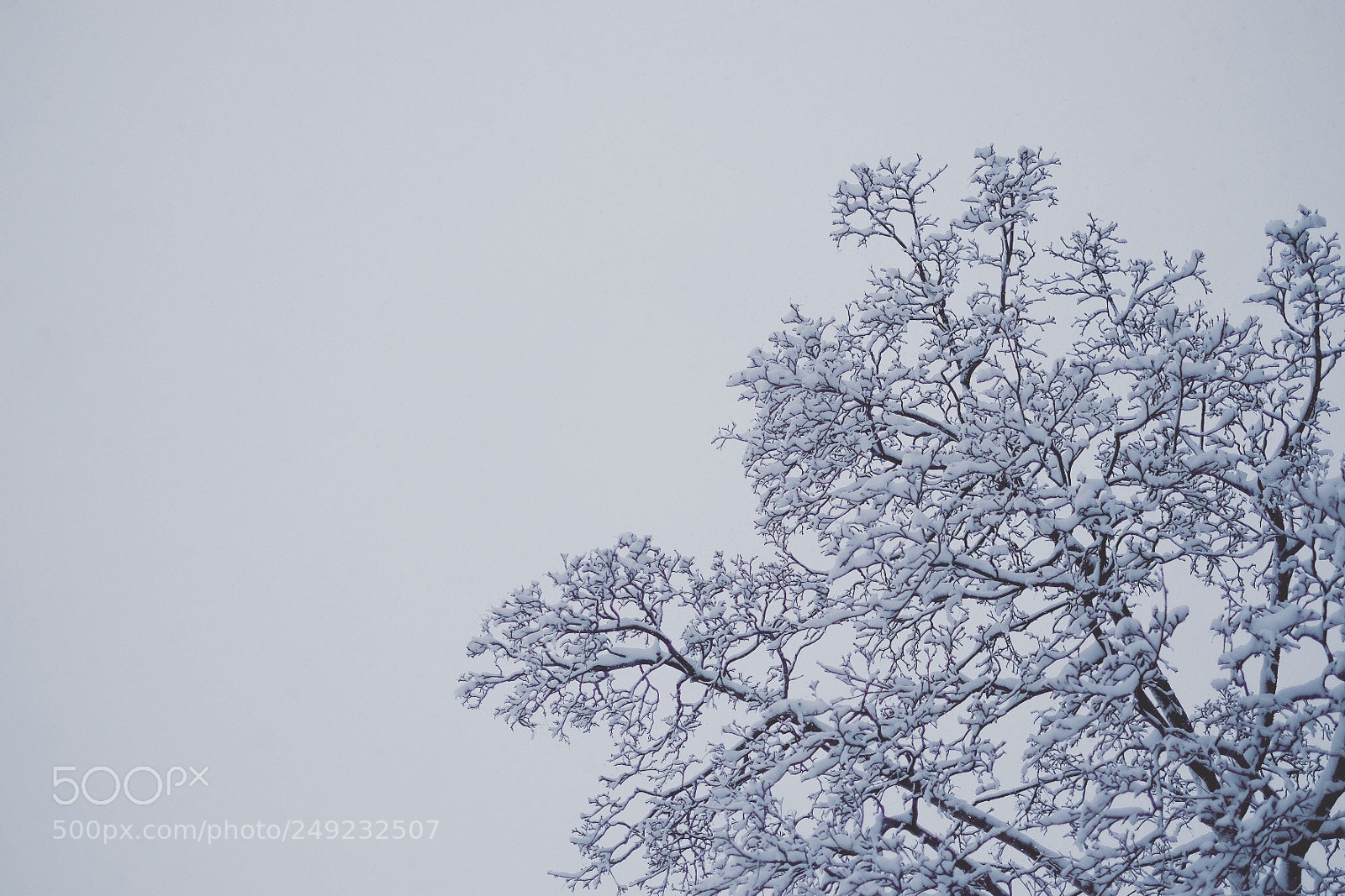 Fujifilm X-T1 sample photo. Untitled photography