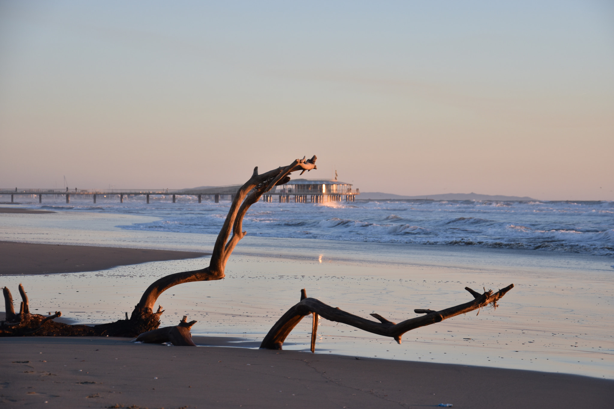 Nikon D5500 sample photo. Evening photography