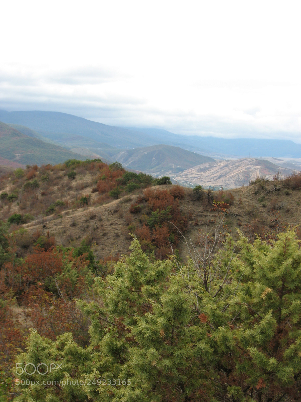 Canon POWERSHOT S3 IS sample photo. Img photography