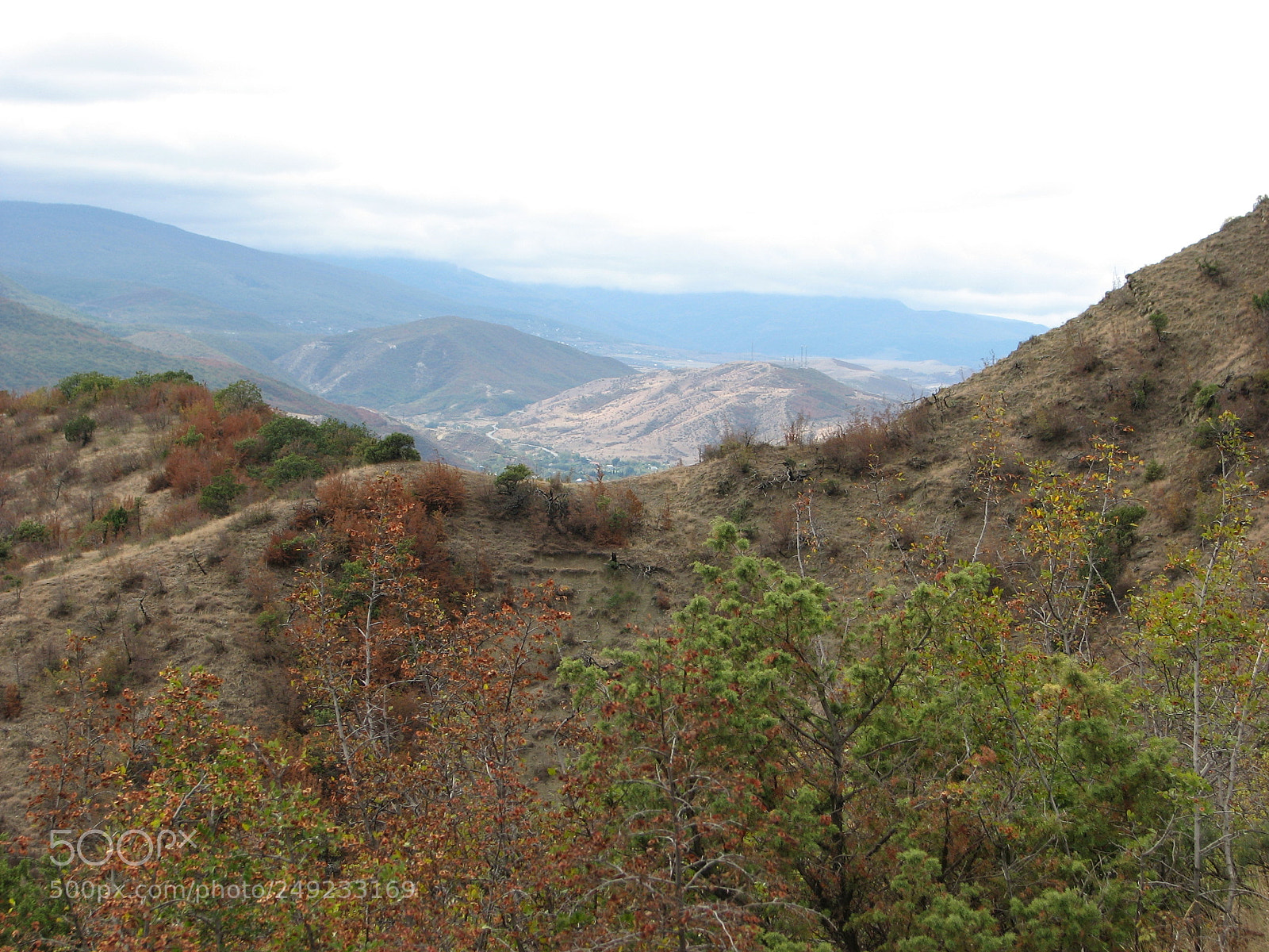 Canon POWERSHOT S3 IS sample photo. Img photography