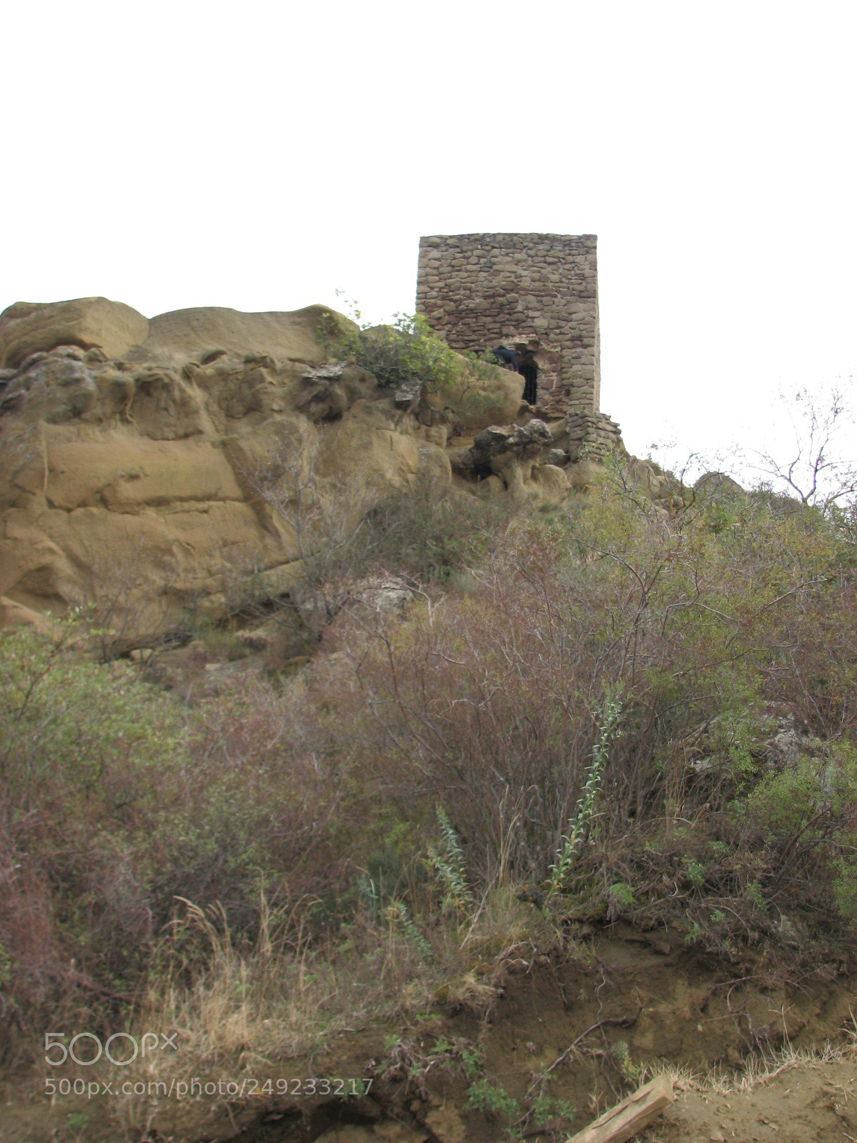 Canon POWERSHOT S3 IS sample photo. Img photography