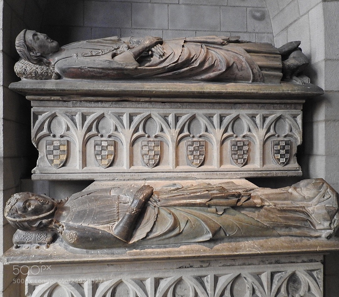 Nikon Coolpix P900 sample photo. The met - cloisters photography