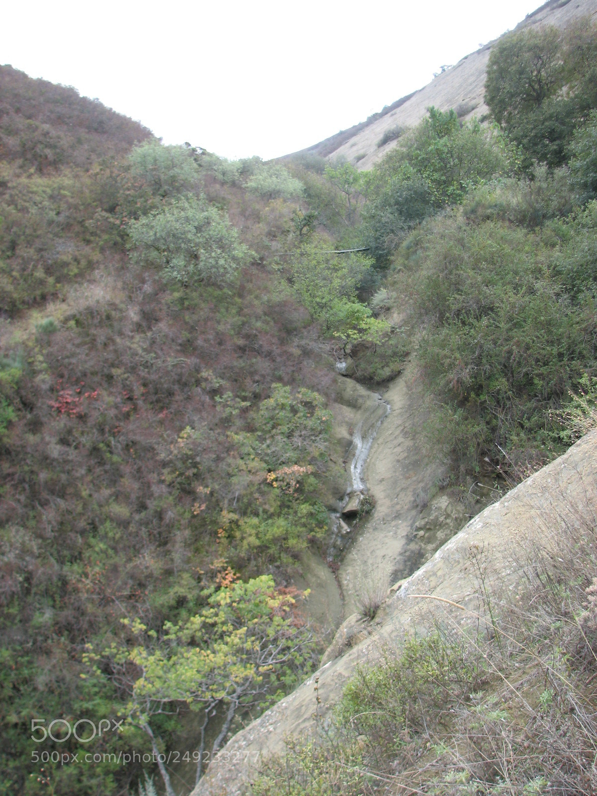 Canon POWERSHOT S3 IS sample photo. Img photography