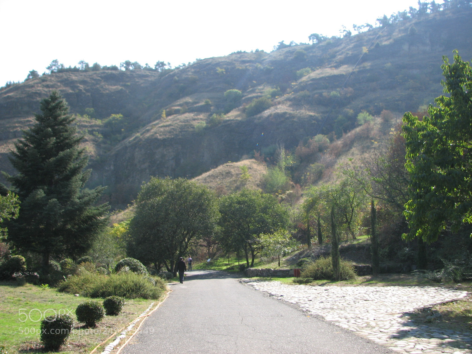 Canon POWERSHOT S3 IS sample photo. Img photography