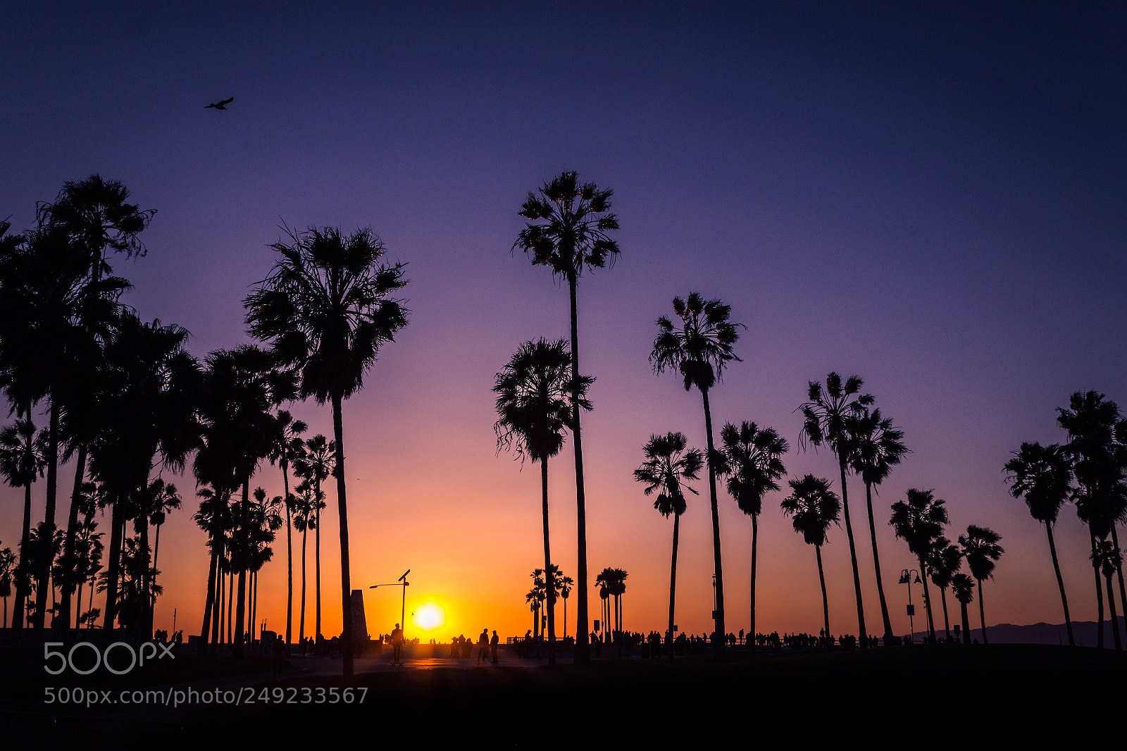 Canon EOS 600D (Rebel EOS T3i / EOS Kiss X5) sample photo. Sunset venice beach photography