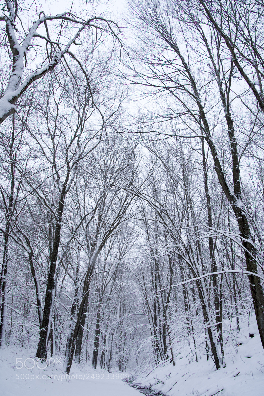 Nikon D7200 sample photo. Winter day photography