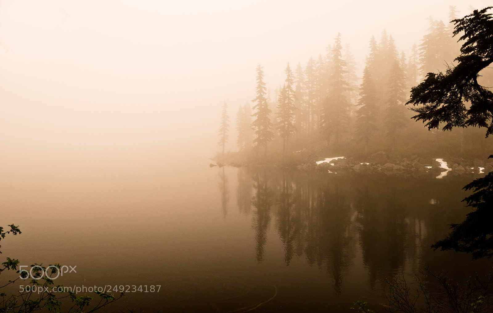 Nikon D5300 sample photo. Foggy lake ii photography