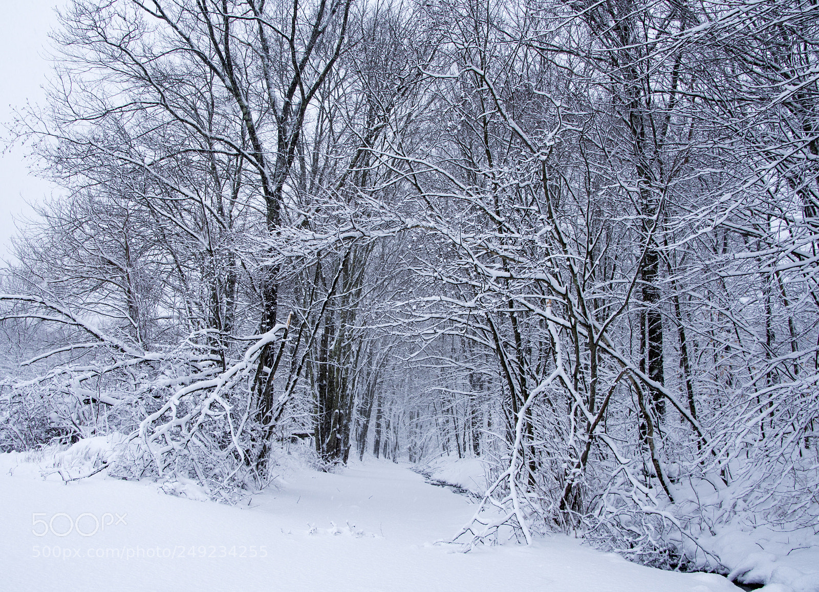 Nikon D7200 sample photo. Broken winter gates photography