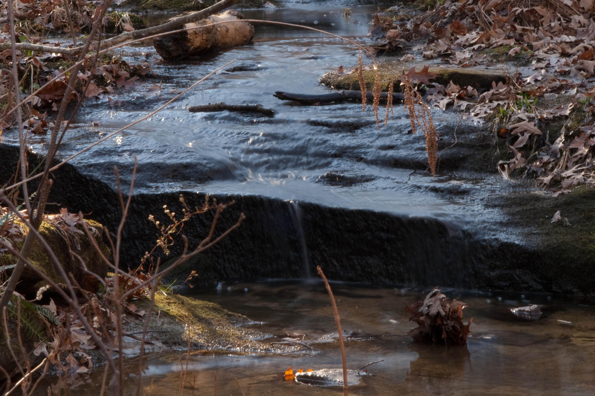 KONICA MINOLTA MAXXUM 7D sample photo. Pickle trickle photography