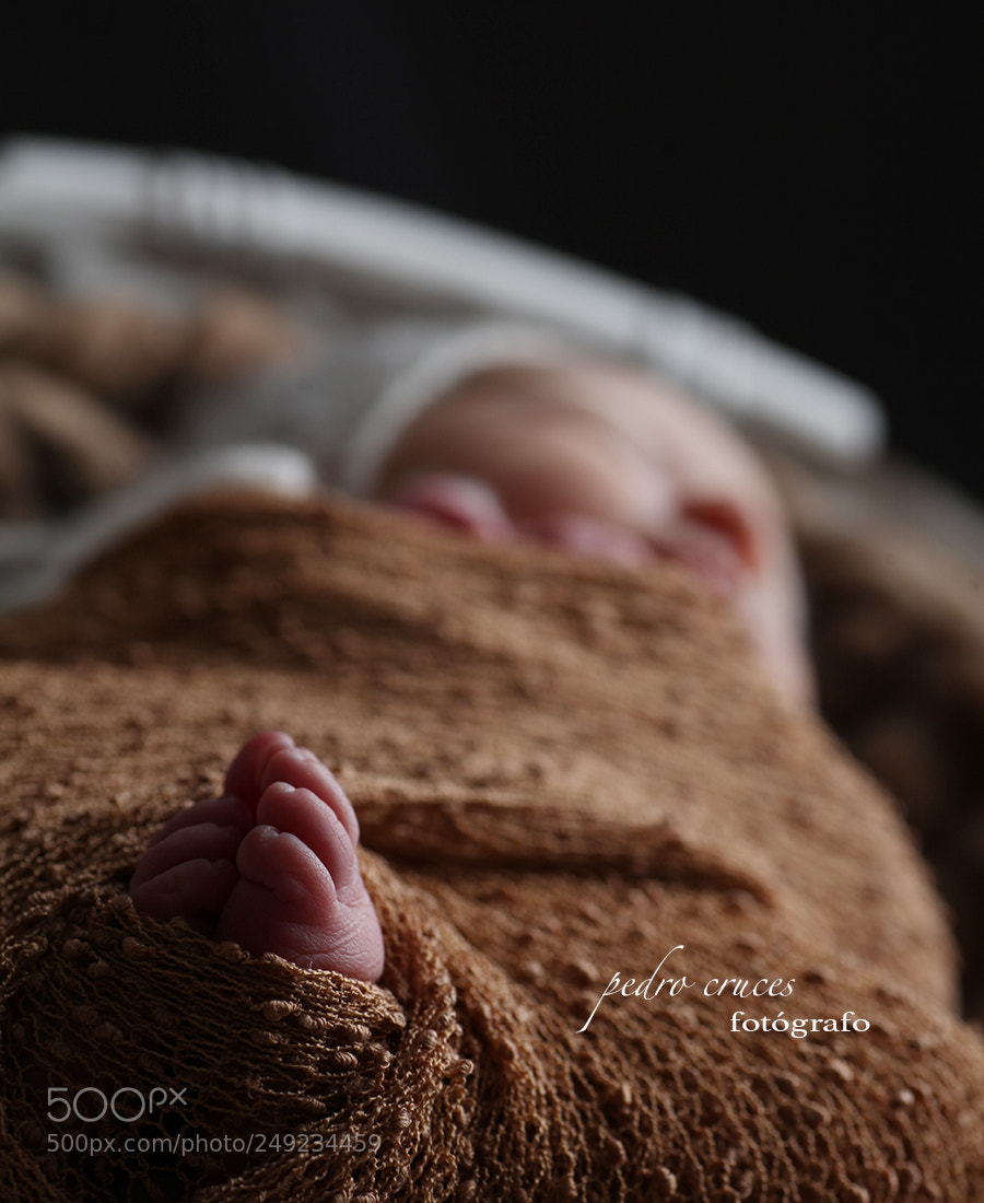 Canon EOS 5D Mark II sample photo. Newborn photography