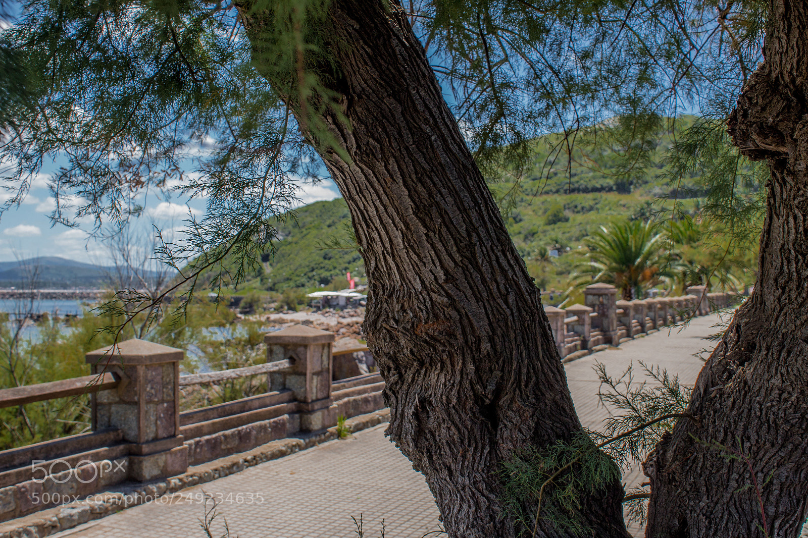 Canon EOS 1300D (EOS Rebel T6 / EOS Kiss X80) sample photo. Bajo sombra/ under shadow photography