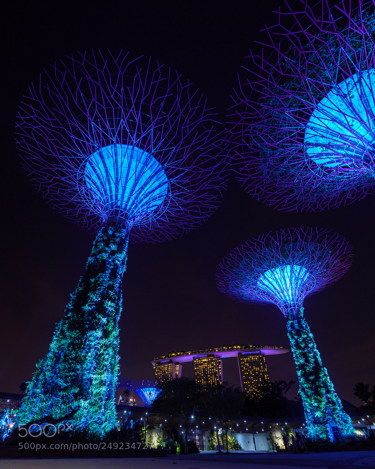Panasonic Lumix DC-GH5 sample photo. Singapore's gardens by the photography