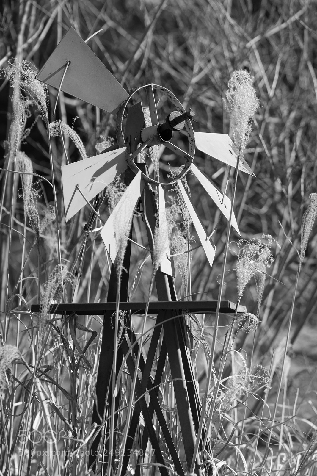Sony ILCA-77M2 sample photo. Windmill photography