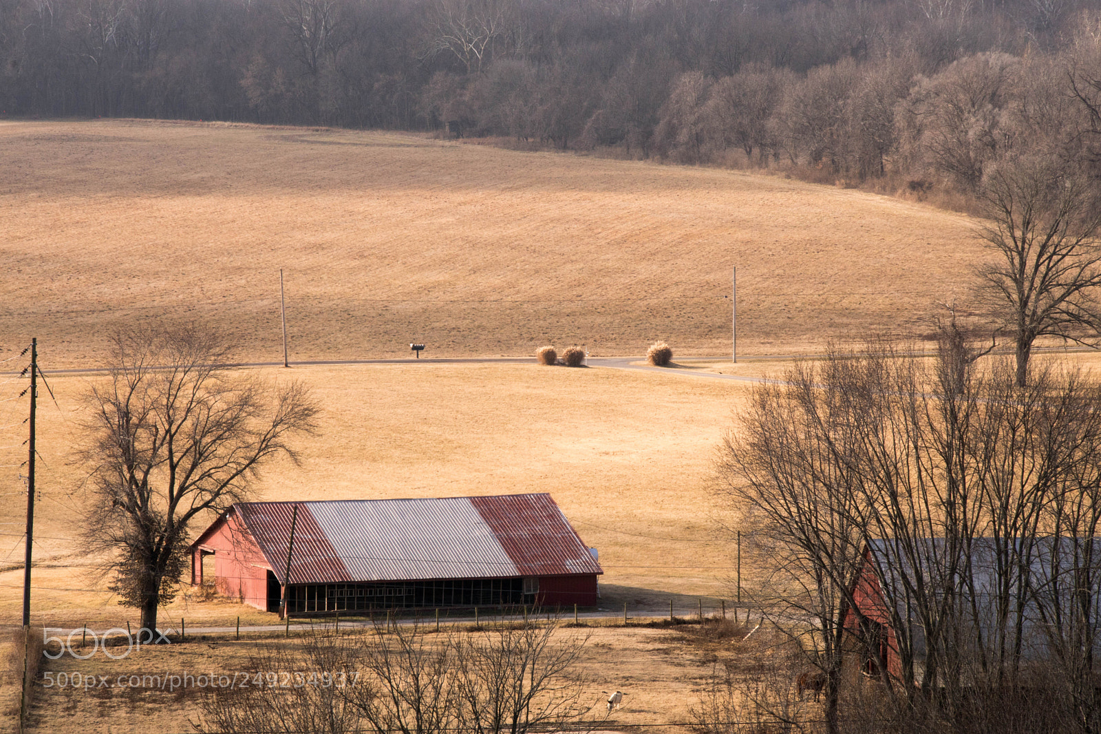 Sony ILCA-77M2 sample photo. Bluffview photography