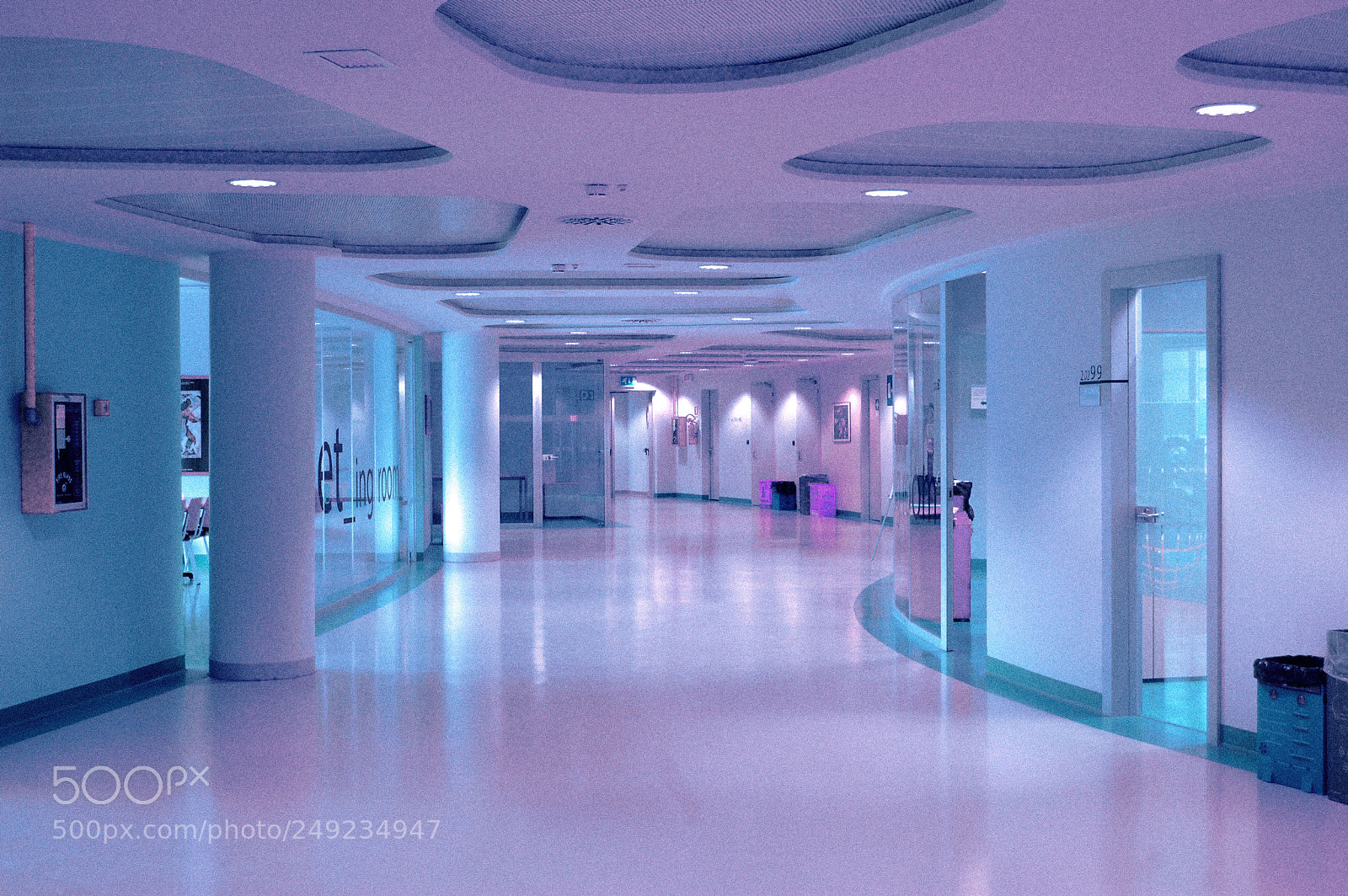 Nikon D40 sample photo. W h i t photography