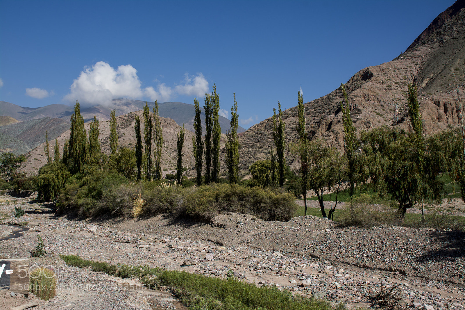 Nikon D7100 sample photo. Jujuy photography
