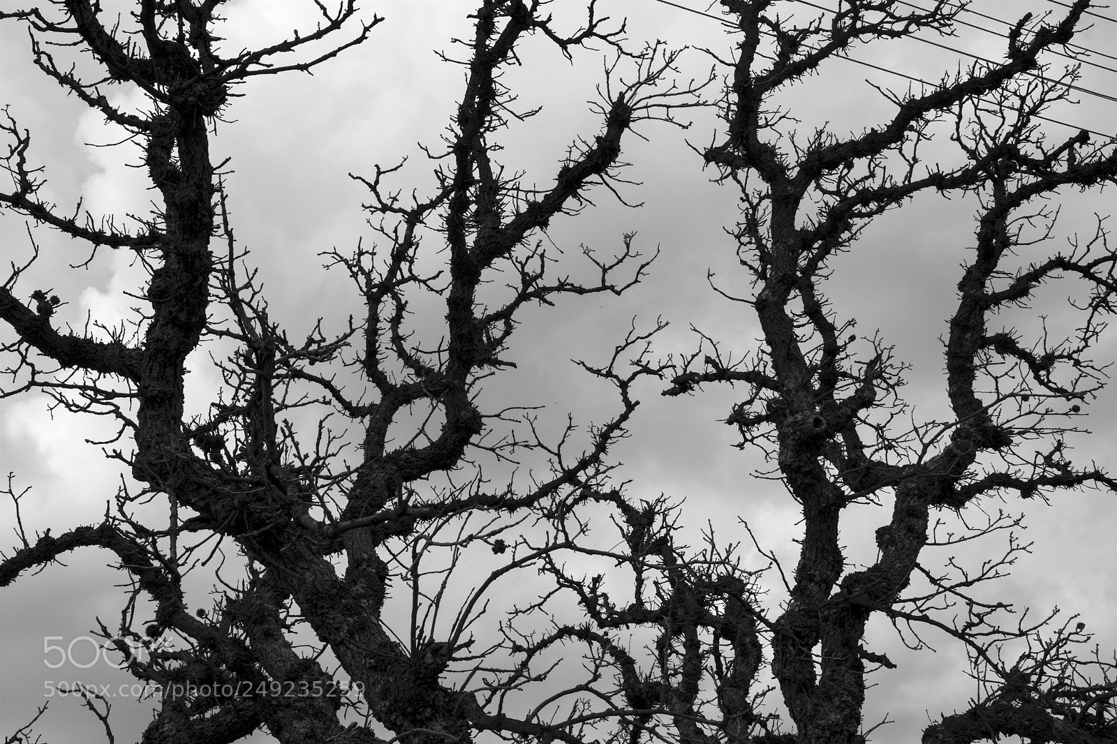 Canon EOS 80D sample photo. Img photography