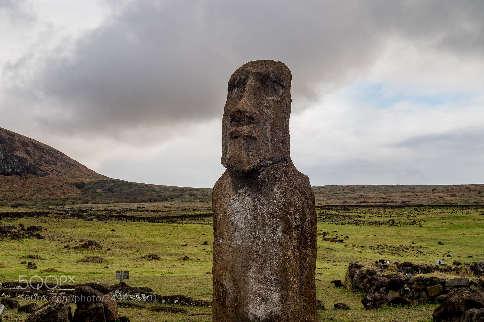 Olympus OM-D E-M5 II sample photo. Face of easter island photography