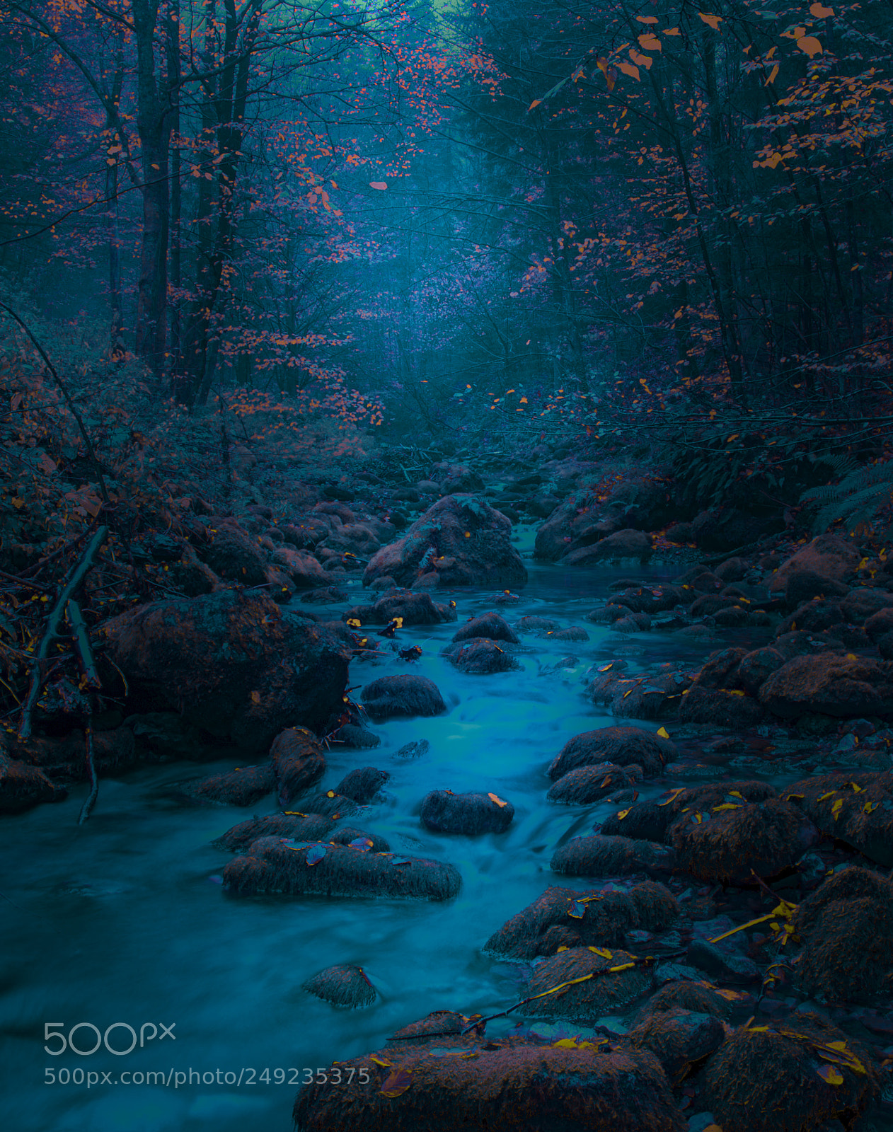 Nikon D610 sample photo. Mountain river photography