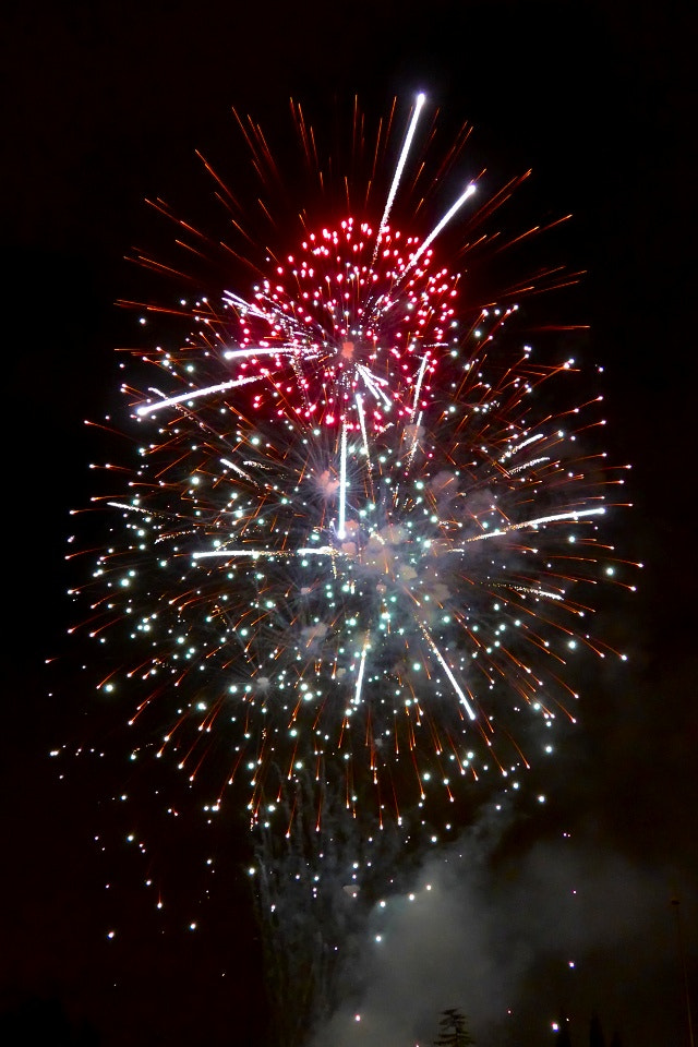 Panasonic Lumix DMC-LF1 sample photo. Fireworks photography