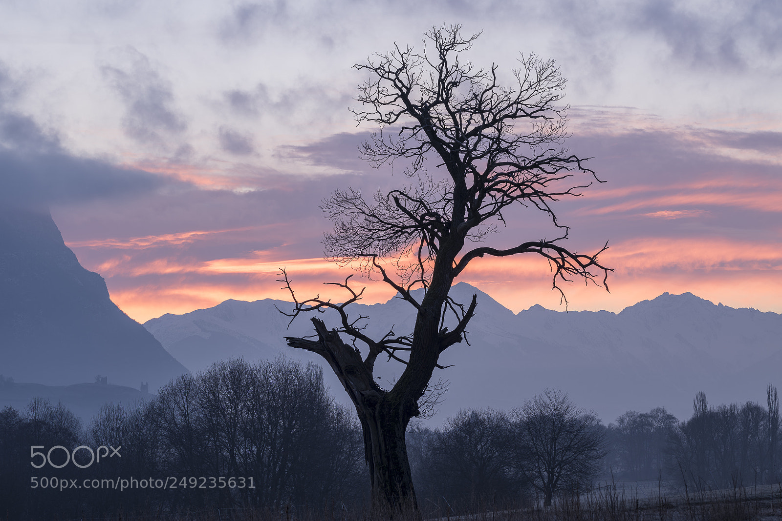 Nikon D810 sample photo. Reveil photography