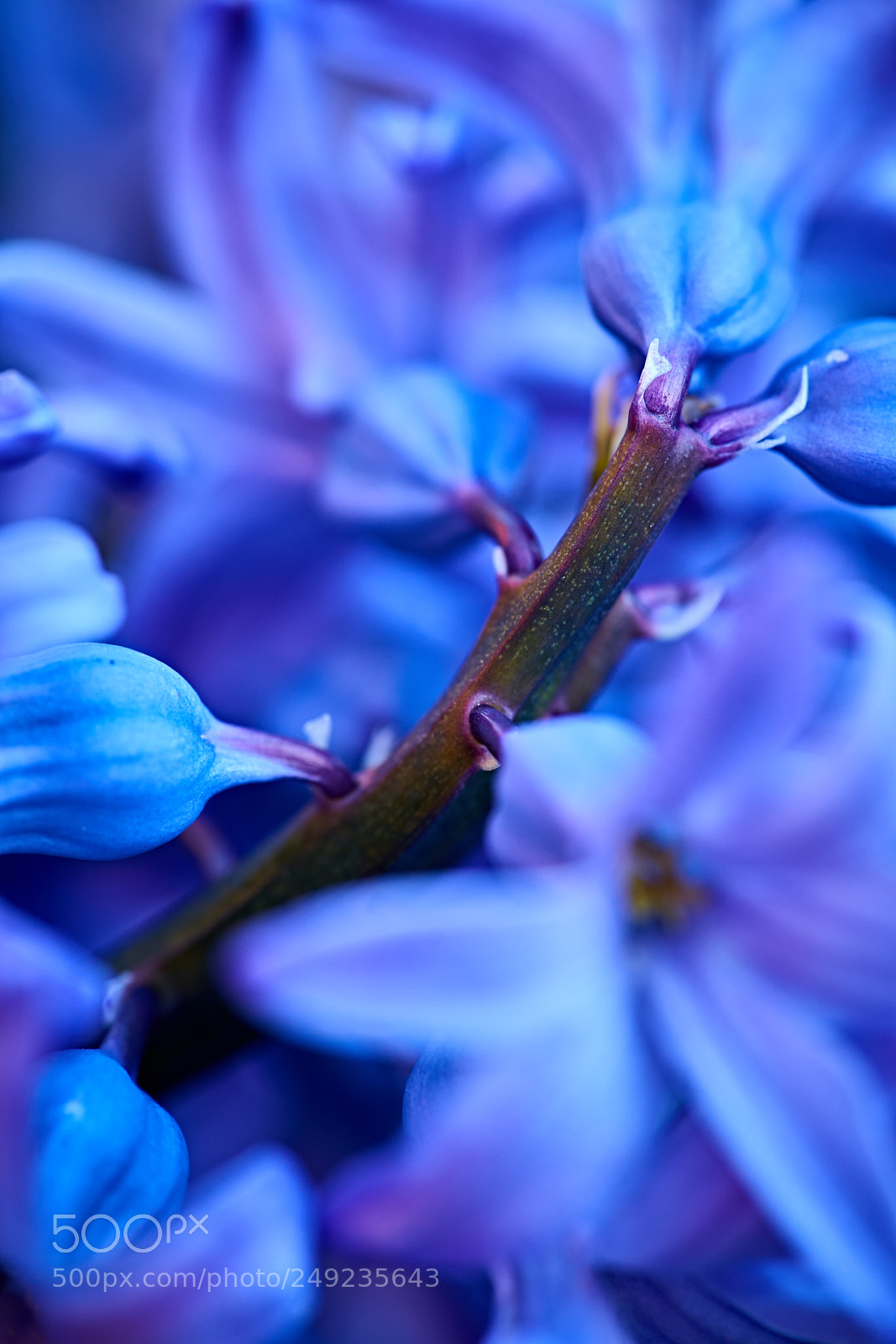 Sony a7 II sample photo. Support photography
