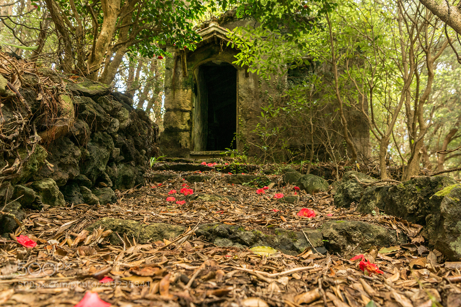 Sony ILCA-77M2 sample photo. Fantasy photography