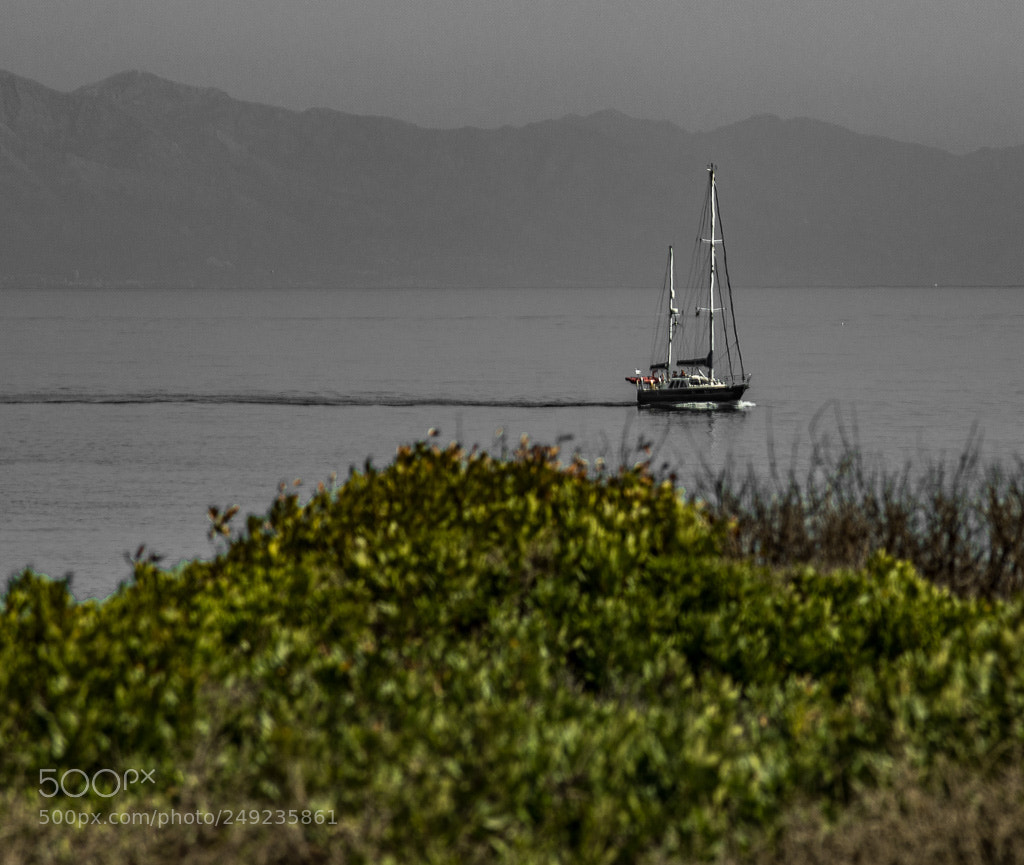 Nikon D3200 sample photo. Calma photography
