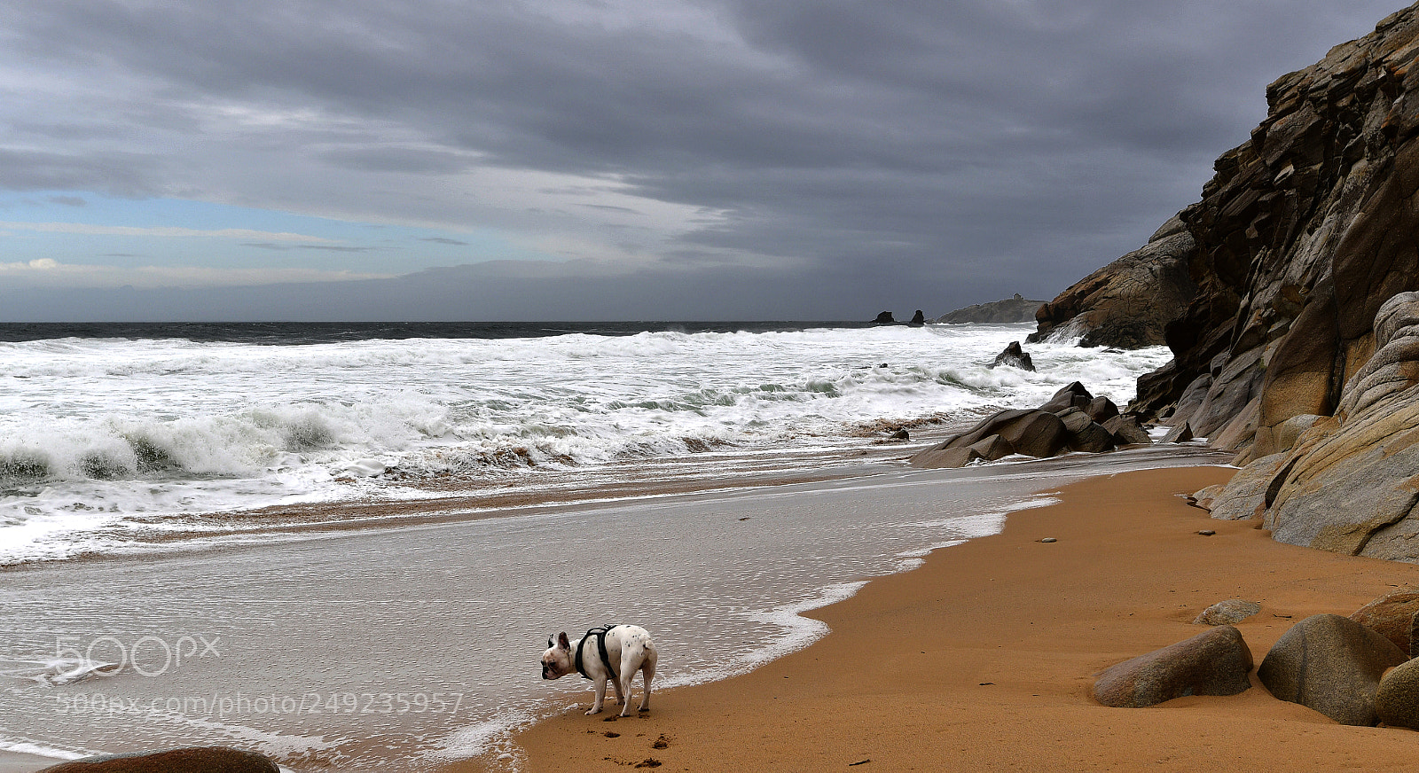 Nikon D7500 sample photo. Robinson crusoé ... alone ! photography