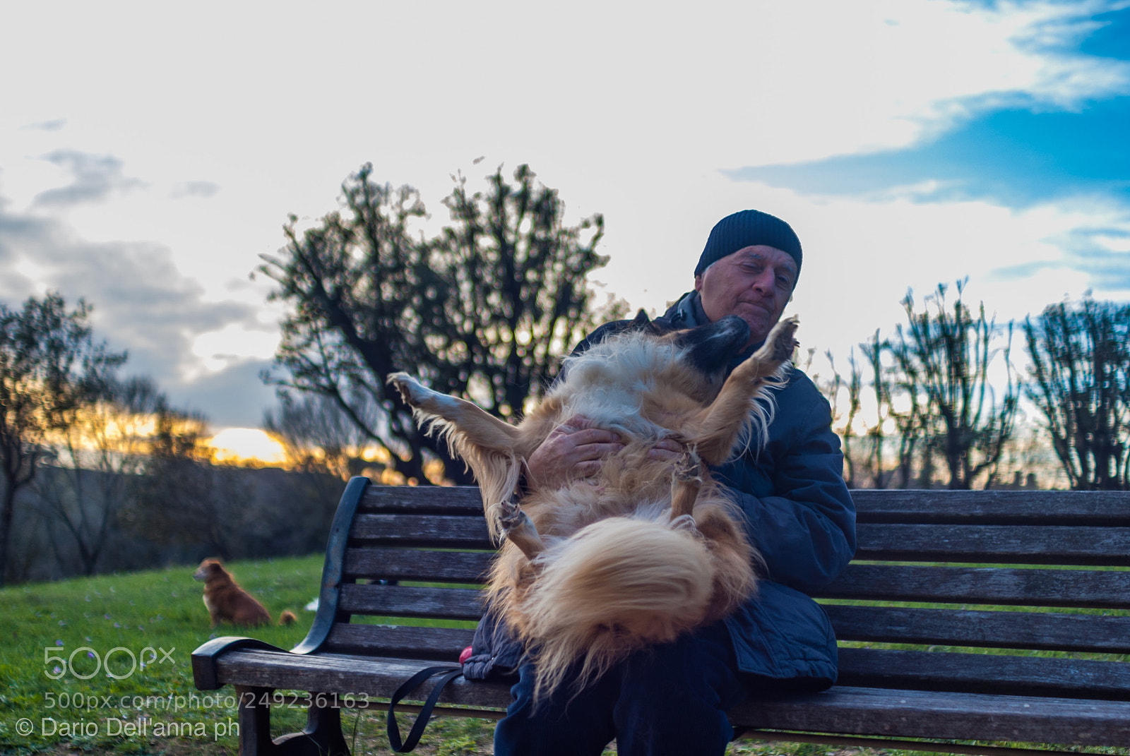 Sony Alpha DSLR-A300 sample photo. Park joy photography